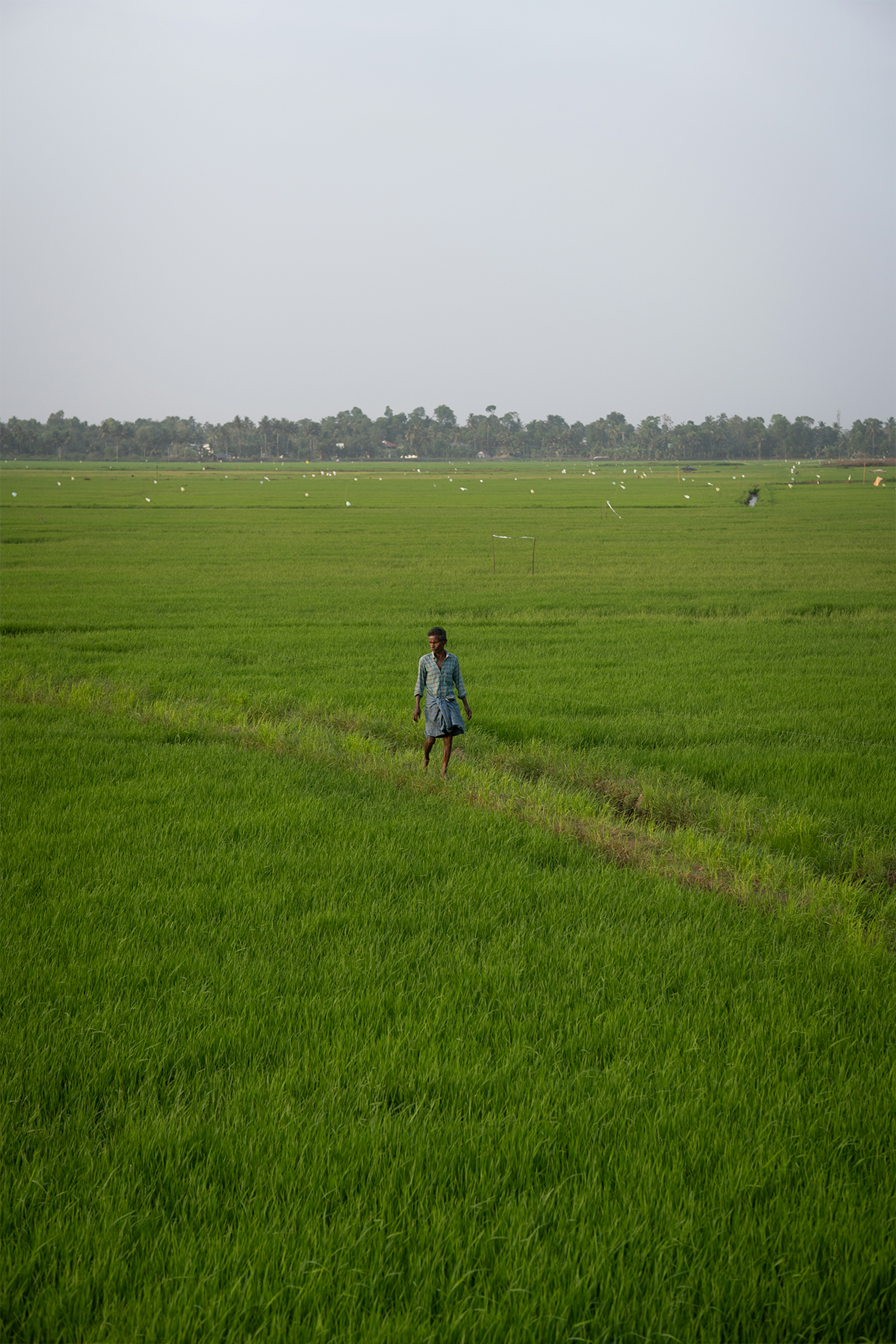 Photo by nanduvasudevan