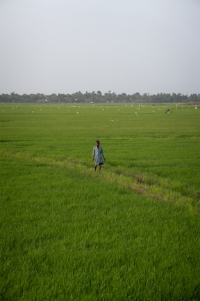 a person walking through a field of green grass