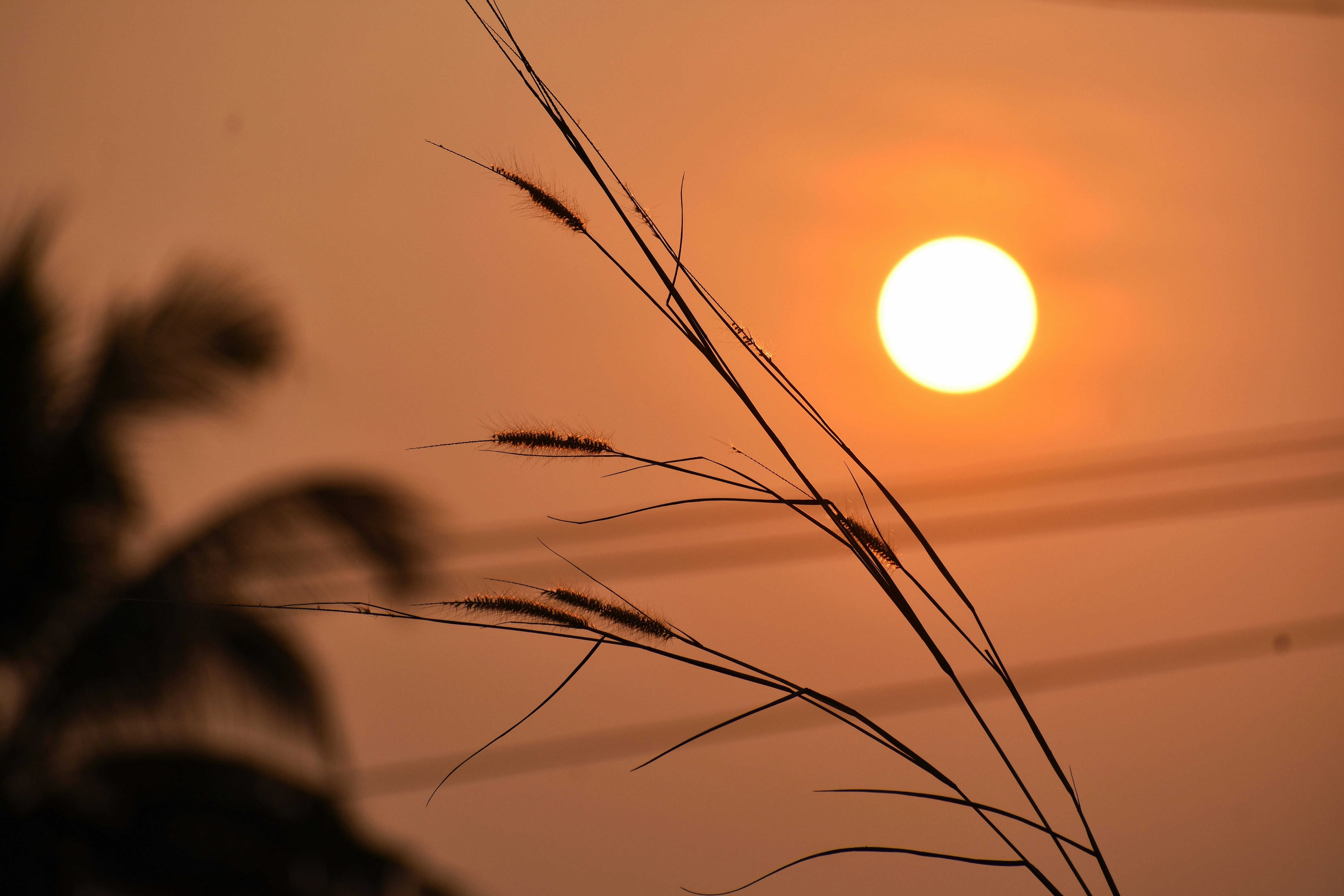 Photo by ankitha_rao