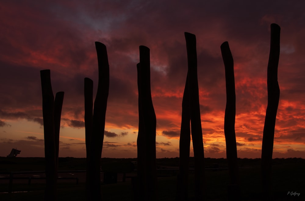 a group of wooden poles in front of a sunset