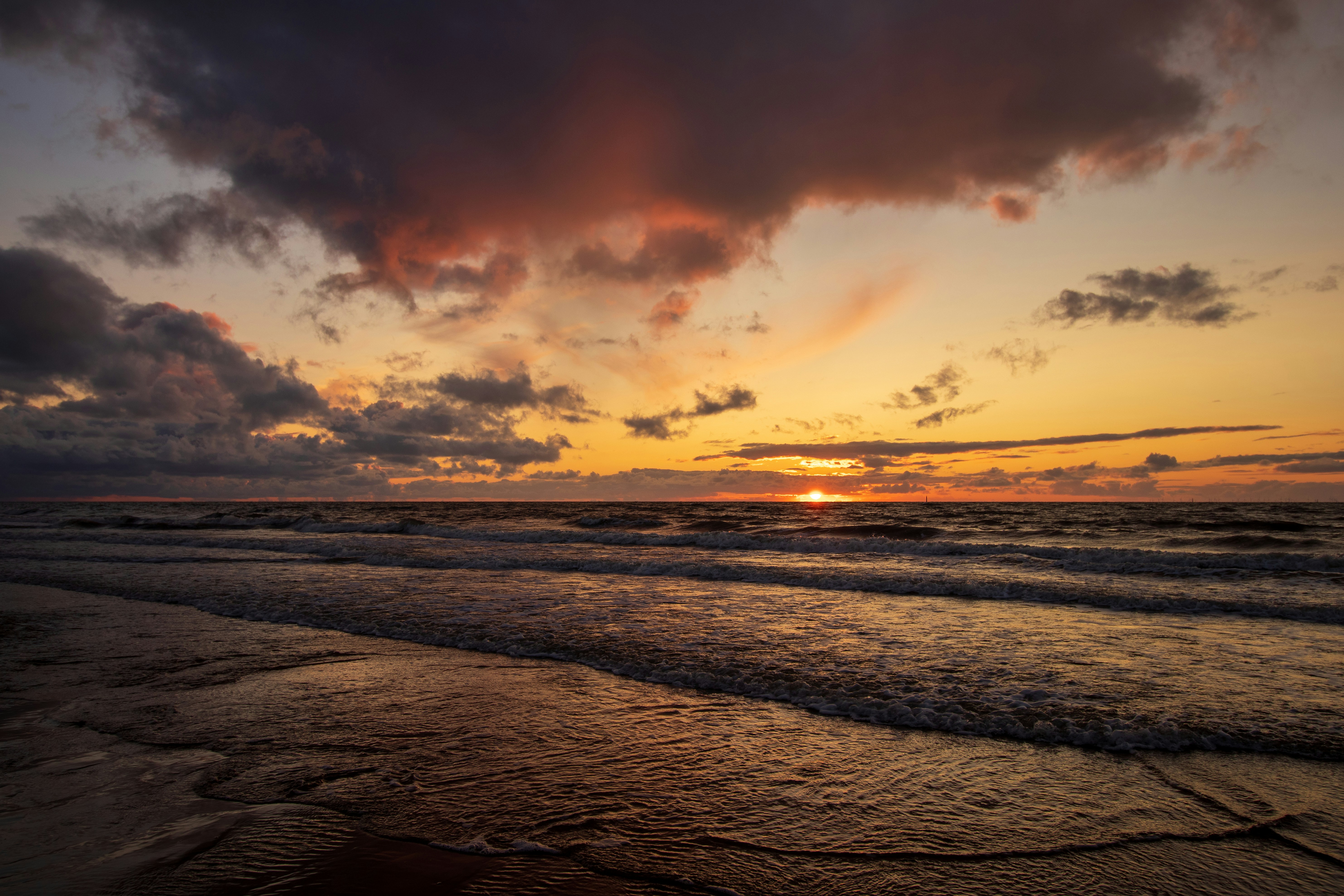 Photo by octopus_photo