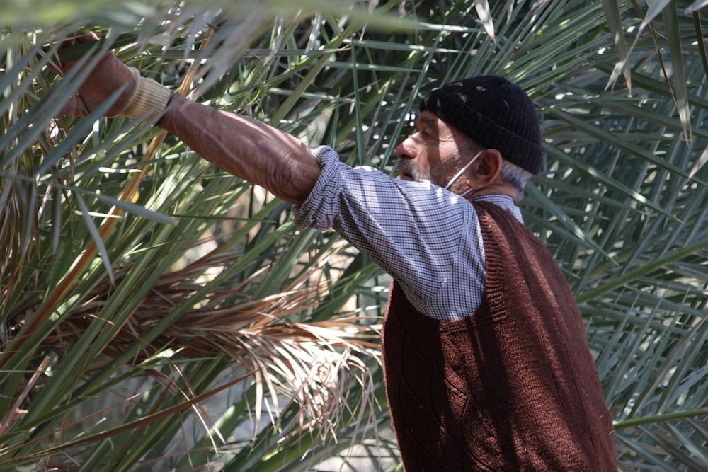 a man in a hat and vest standing next to a palm tree