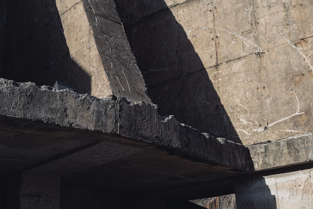 a bird is sitting on a ledge of a building