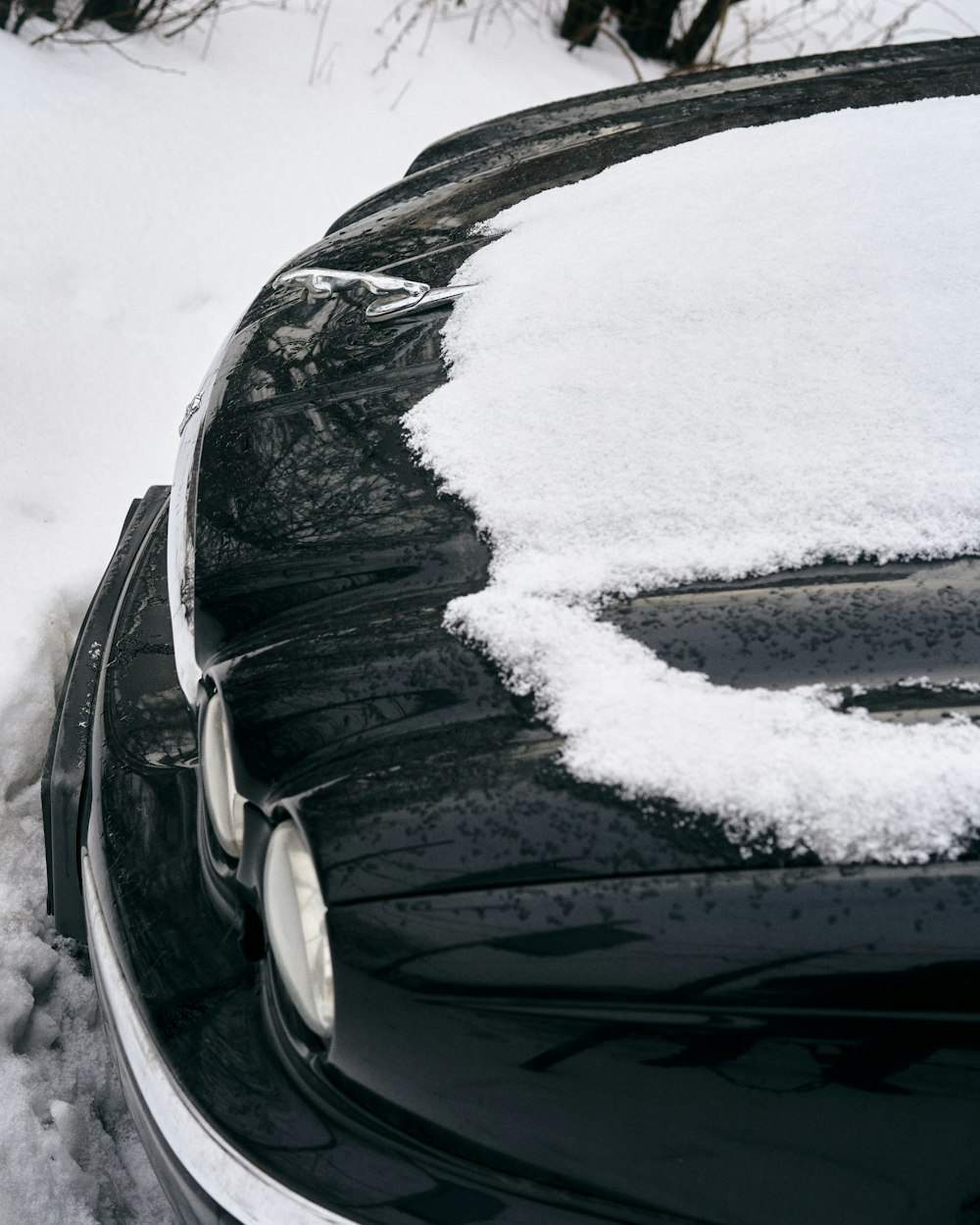 Une voiture noire couverte de neige à côté d’arbres