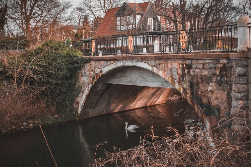 a bridge over a river with a swan swimming under it