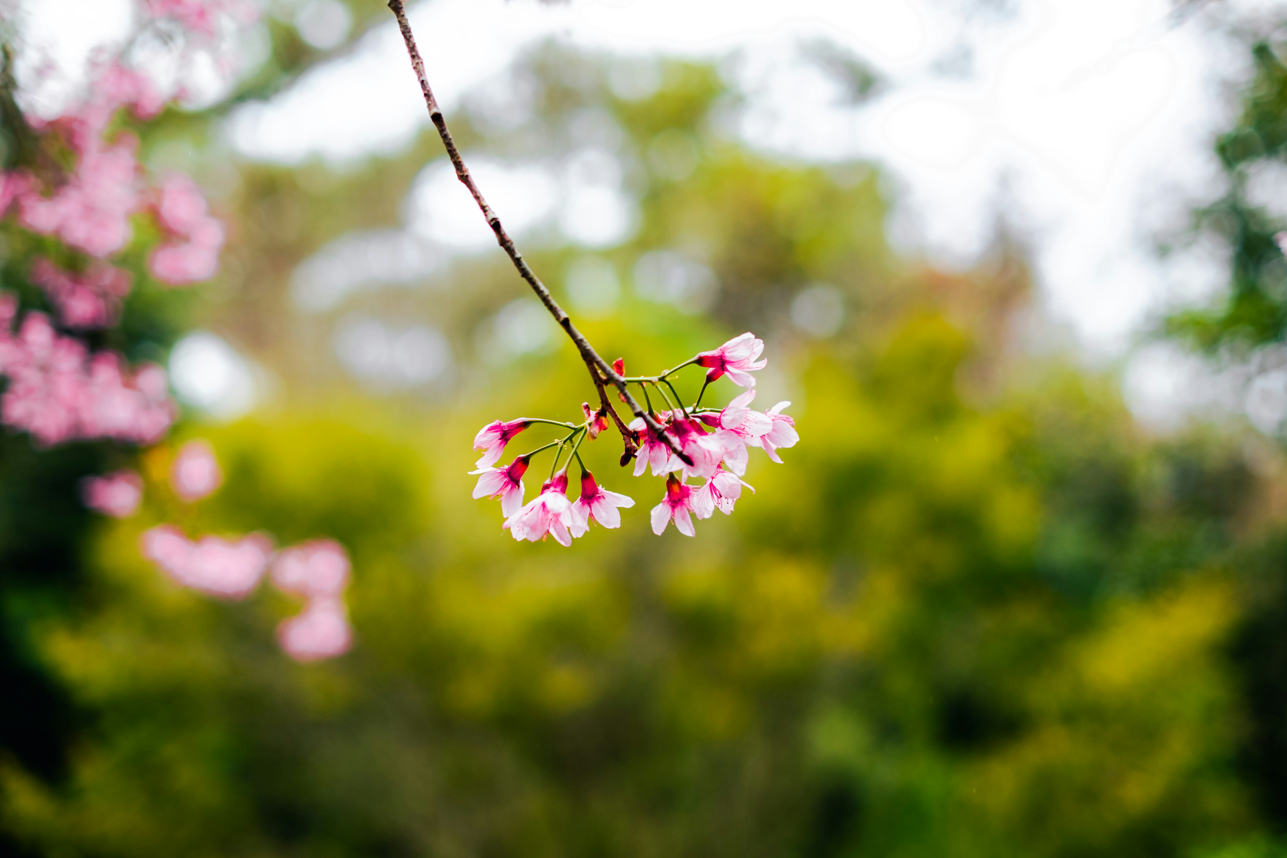 Photo by therapist_photo