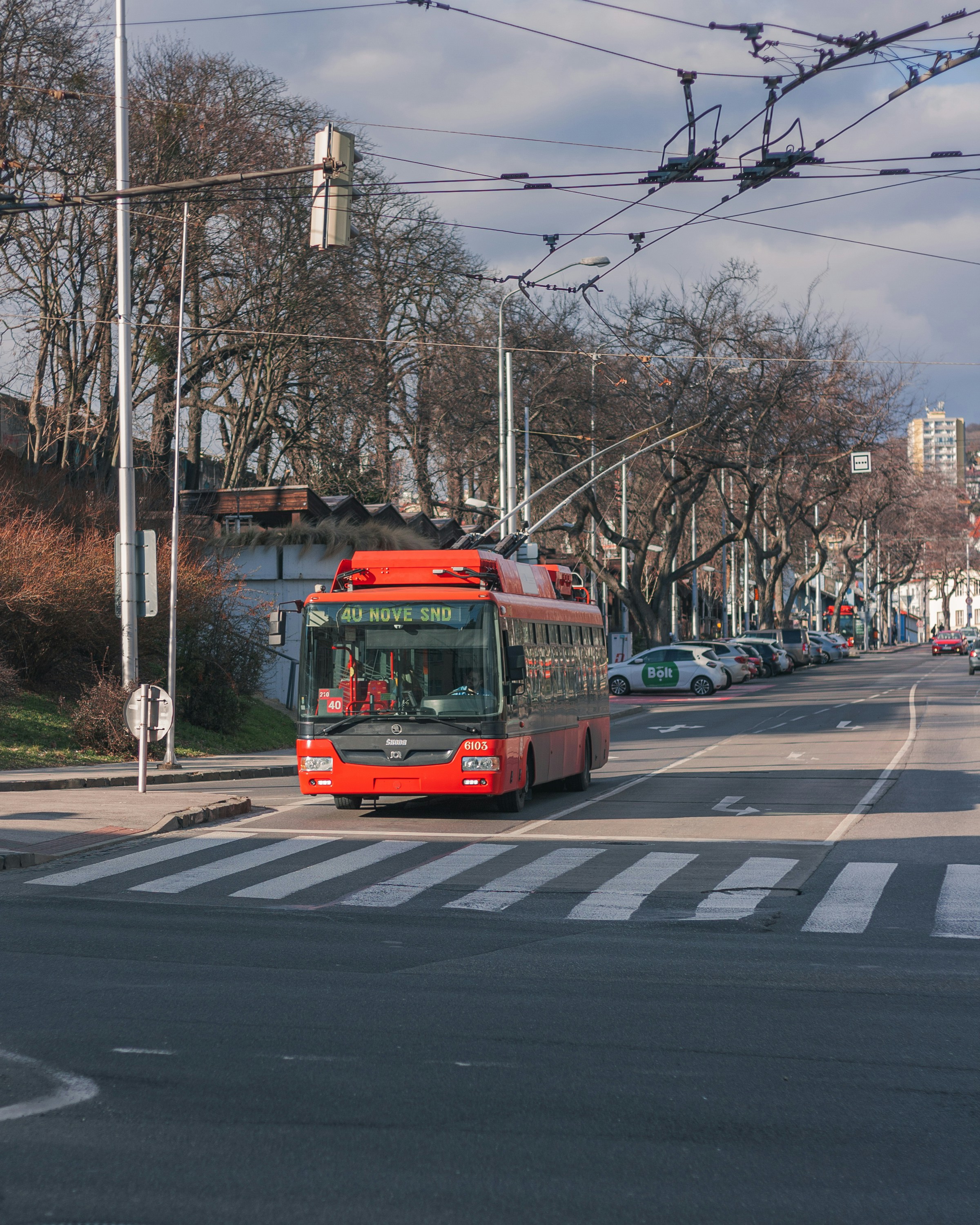 Photo by tomas_chudy