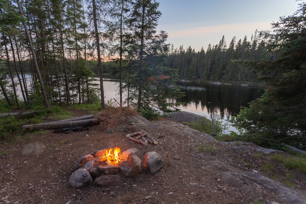 a campfire in the middle of a forest with a lake in the background