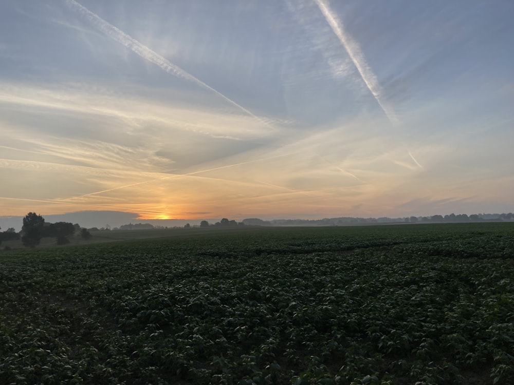 the sun is setting over a field of crops