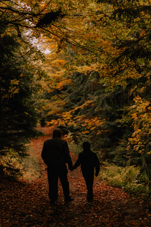 A couple holding hands, walking along a forest path surrounded by autumn leaves.