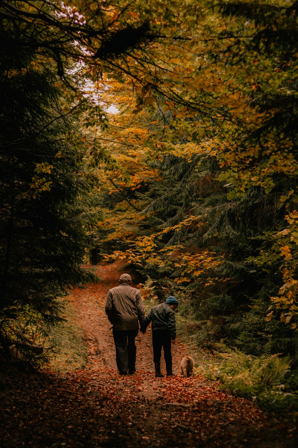 a couple of people walking down a dirt road