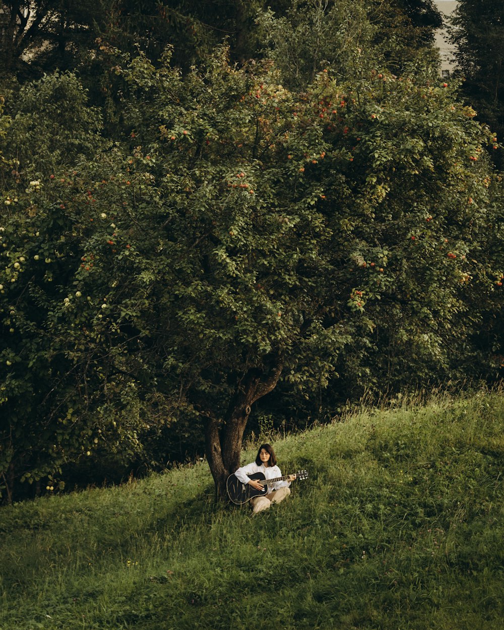 a couple of people sitting under a tree