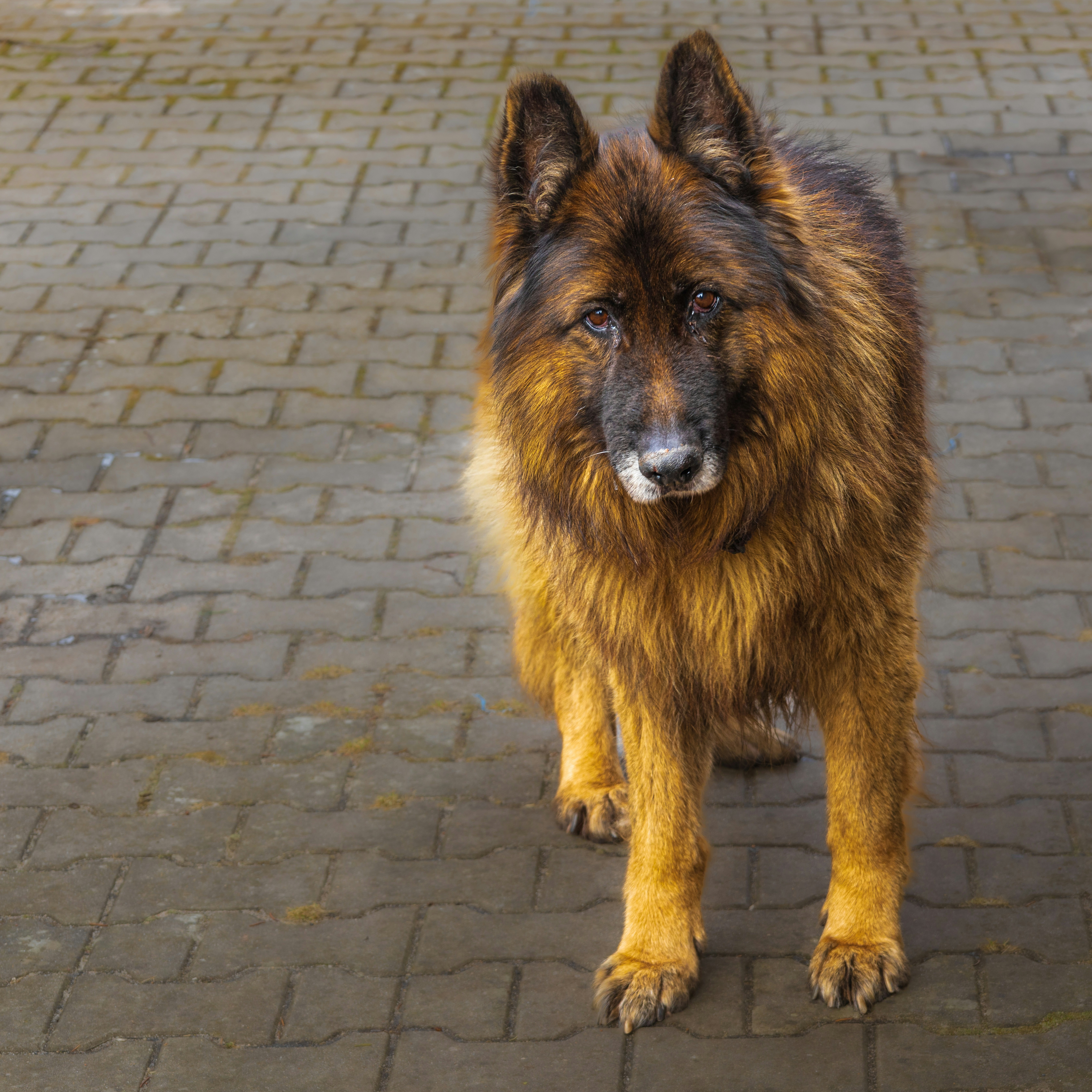 Cooperstown Veterinary Clinic
