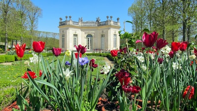 Petit Trianon Versailles a bunch of flowers that are in the grass