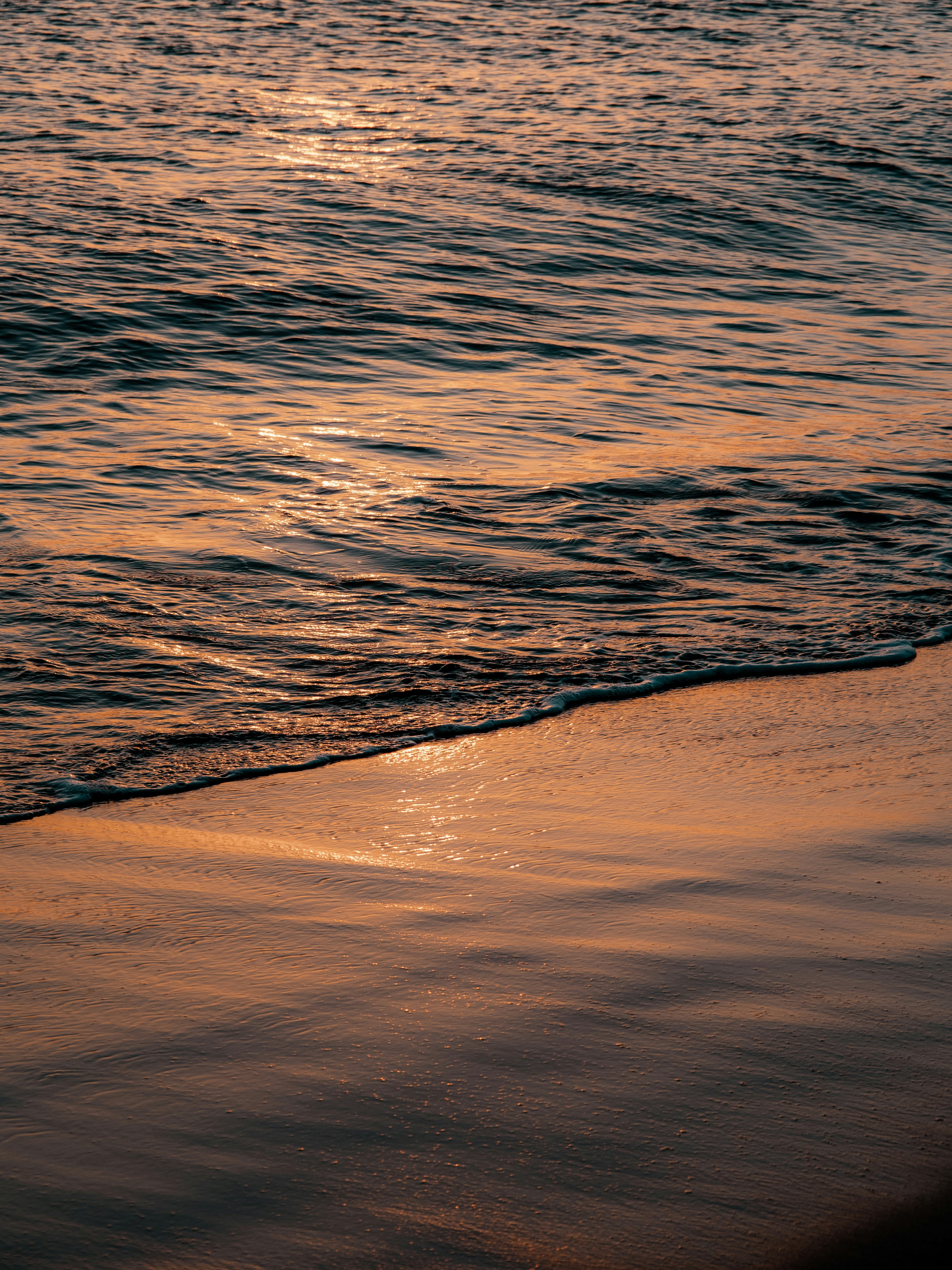 a bird is standing on the edge of the water