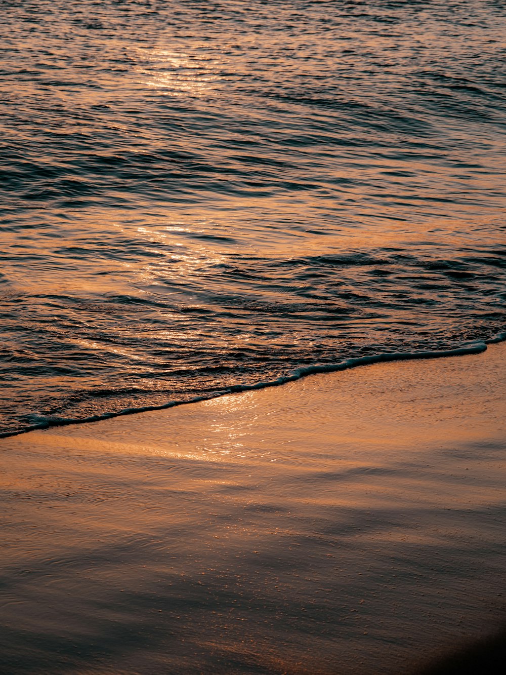 a bird is standing on the edge of the water