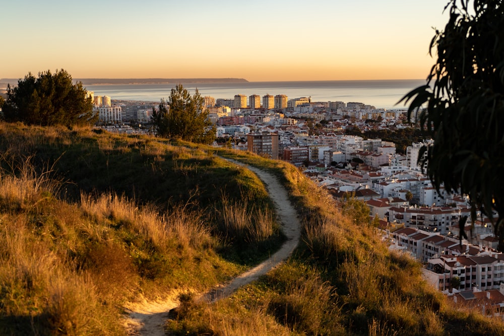 Une vue d’une ville depuis une colline