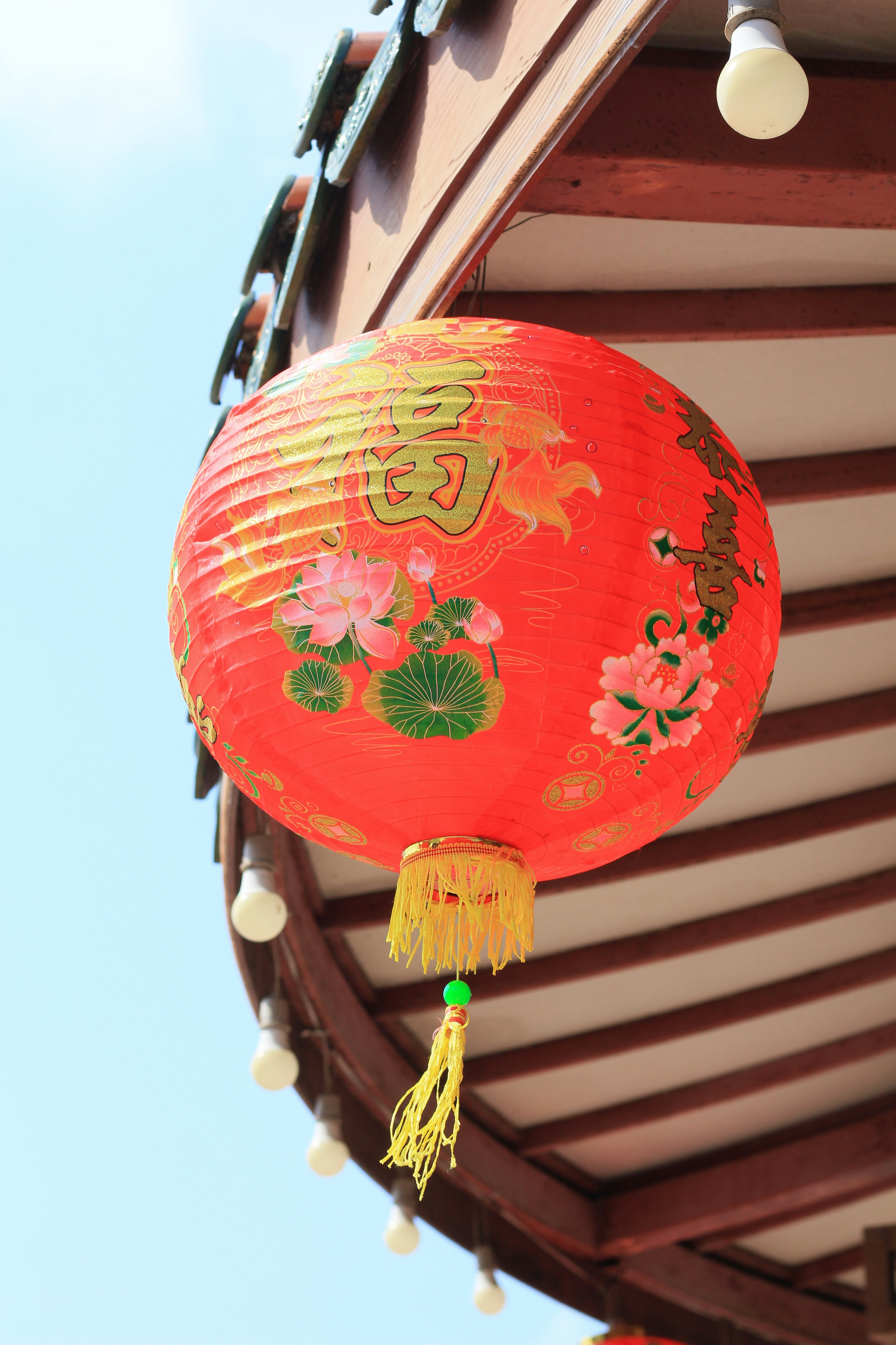 Photo by rutpratheep