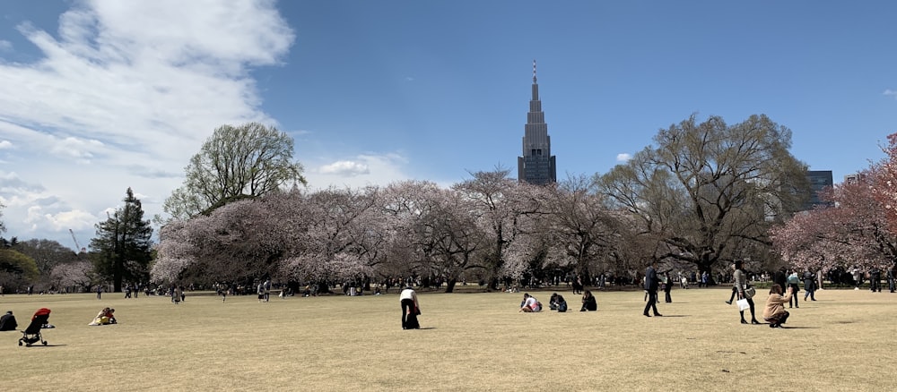 a group of people walking around a park