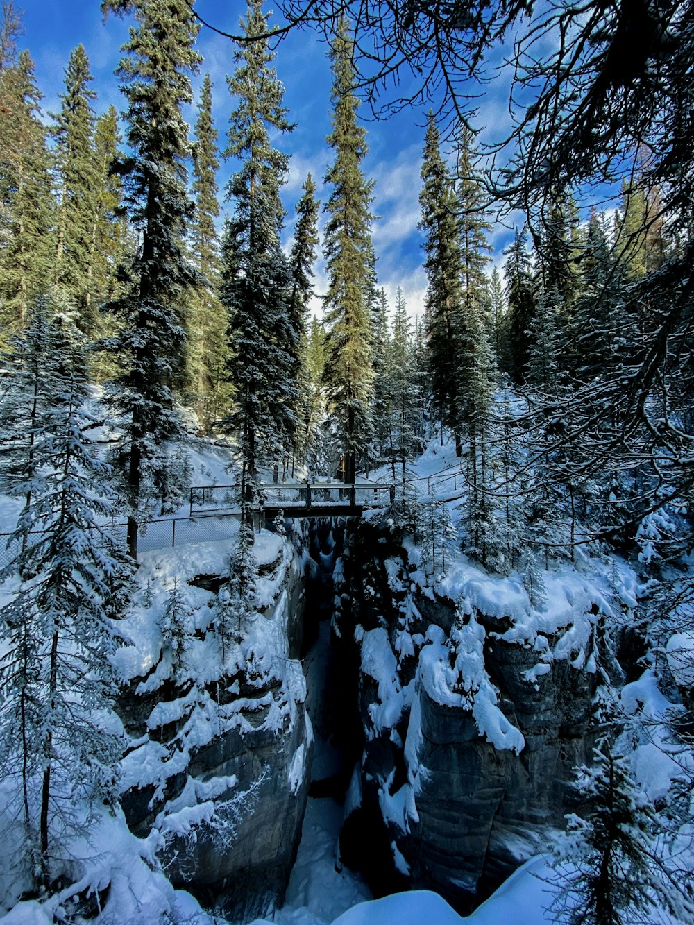 a snow covered forest with a small waterfall