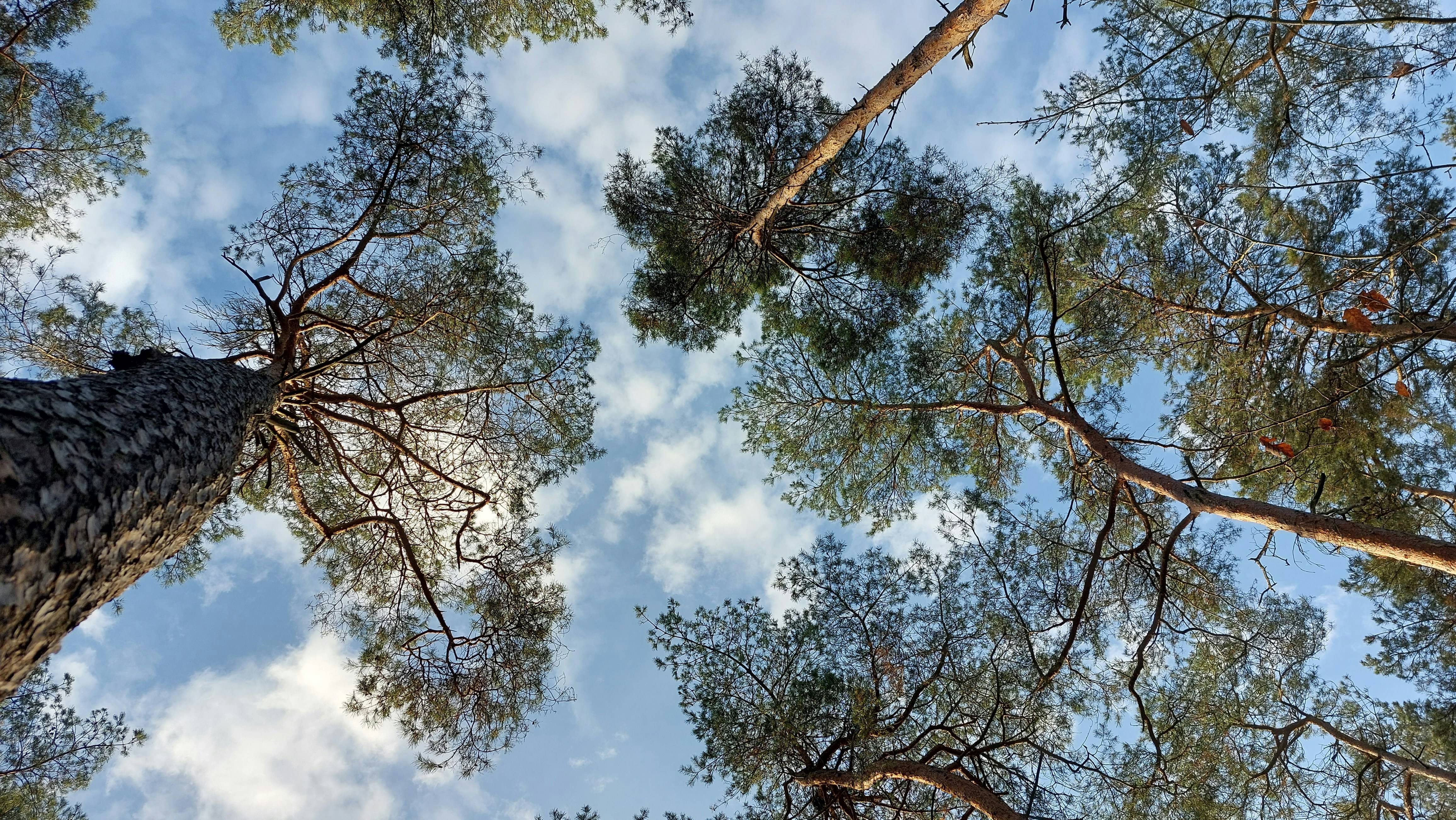 Photo by christine_savor