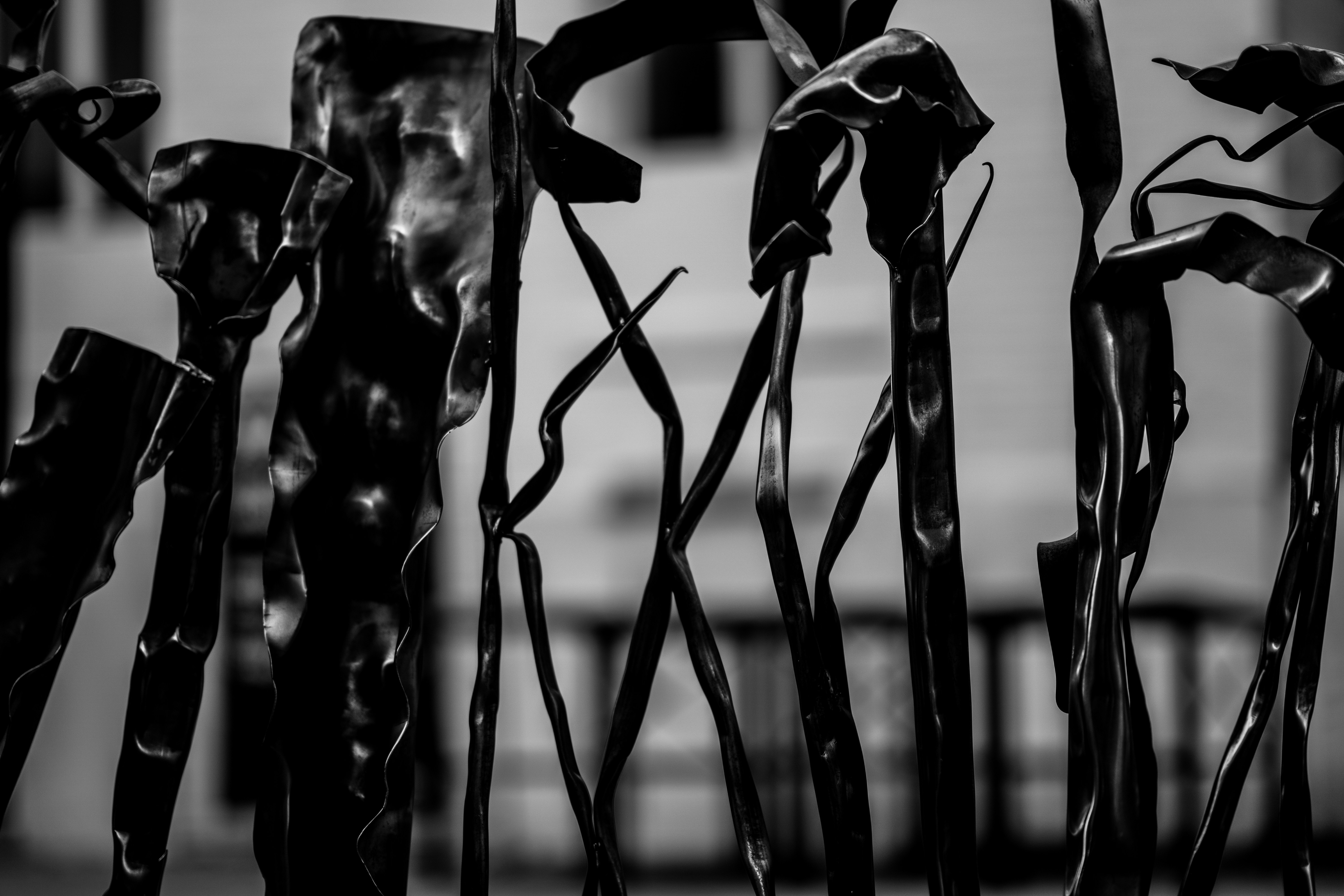 Photo by fabianbaechli