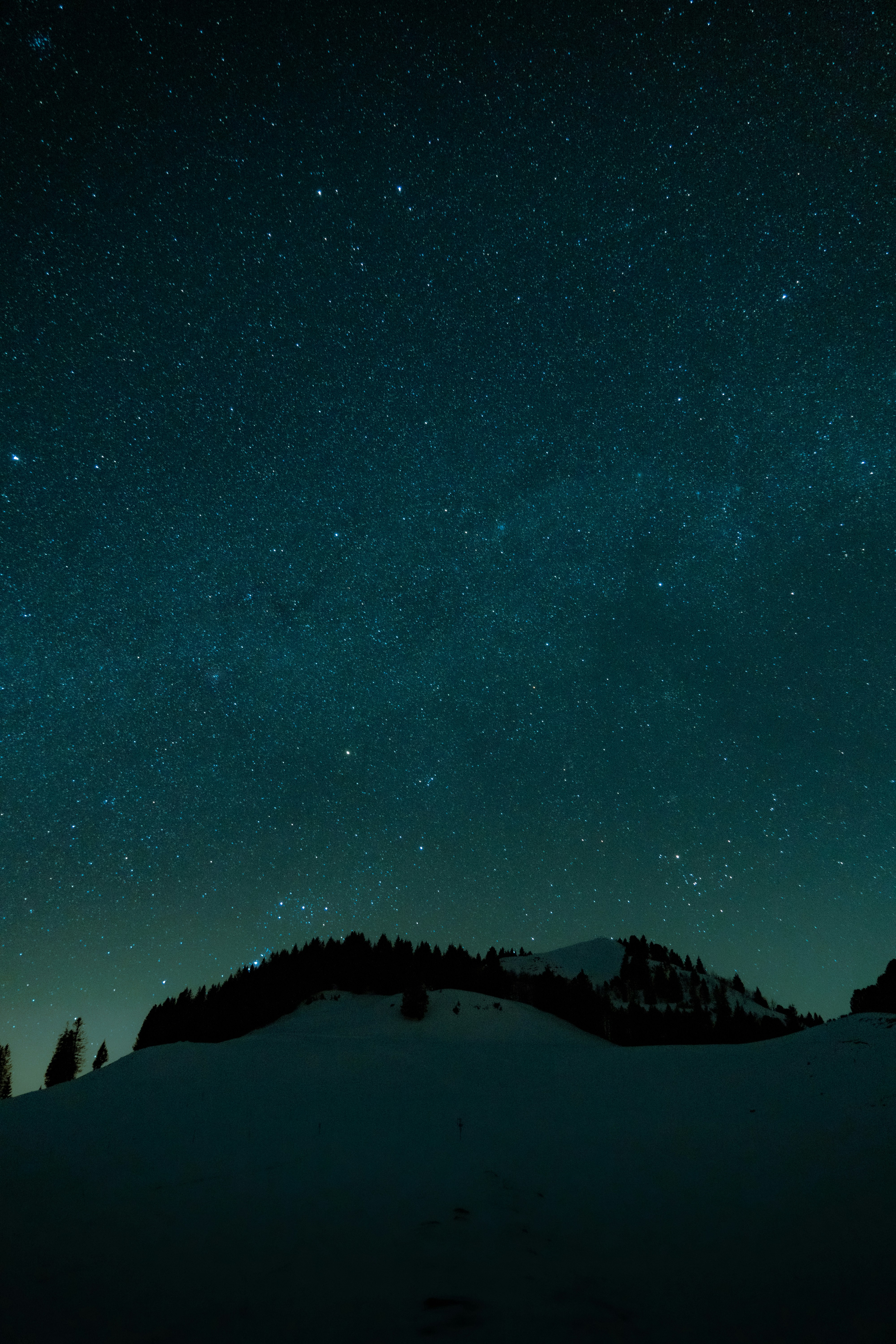 Photo by benaja_photos