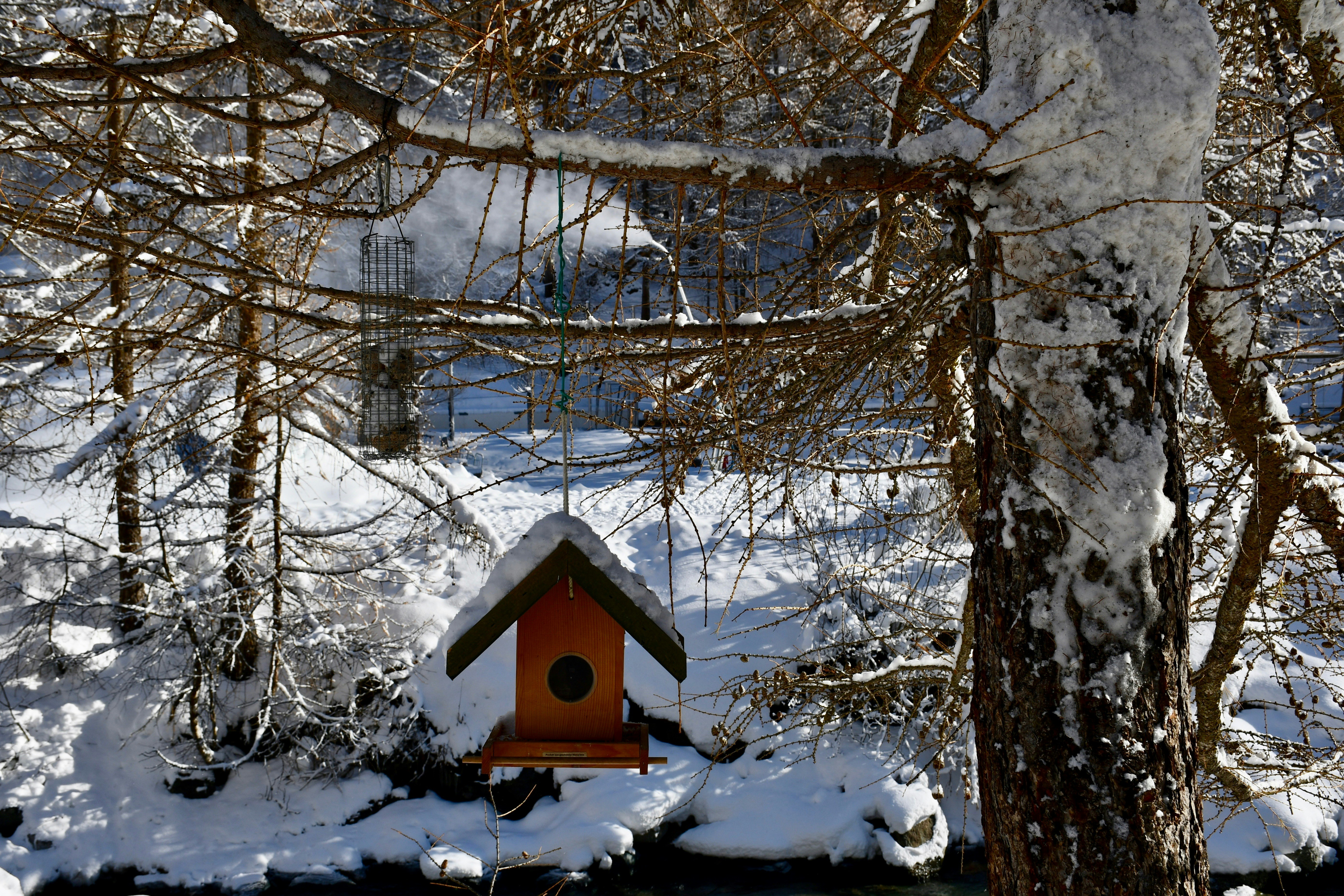 a bird house hanging from a tree in the snow