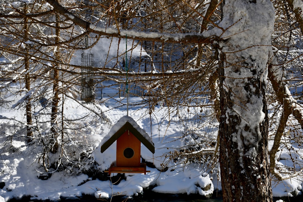 a bird house hanging from a tree in the snow