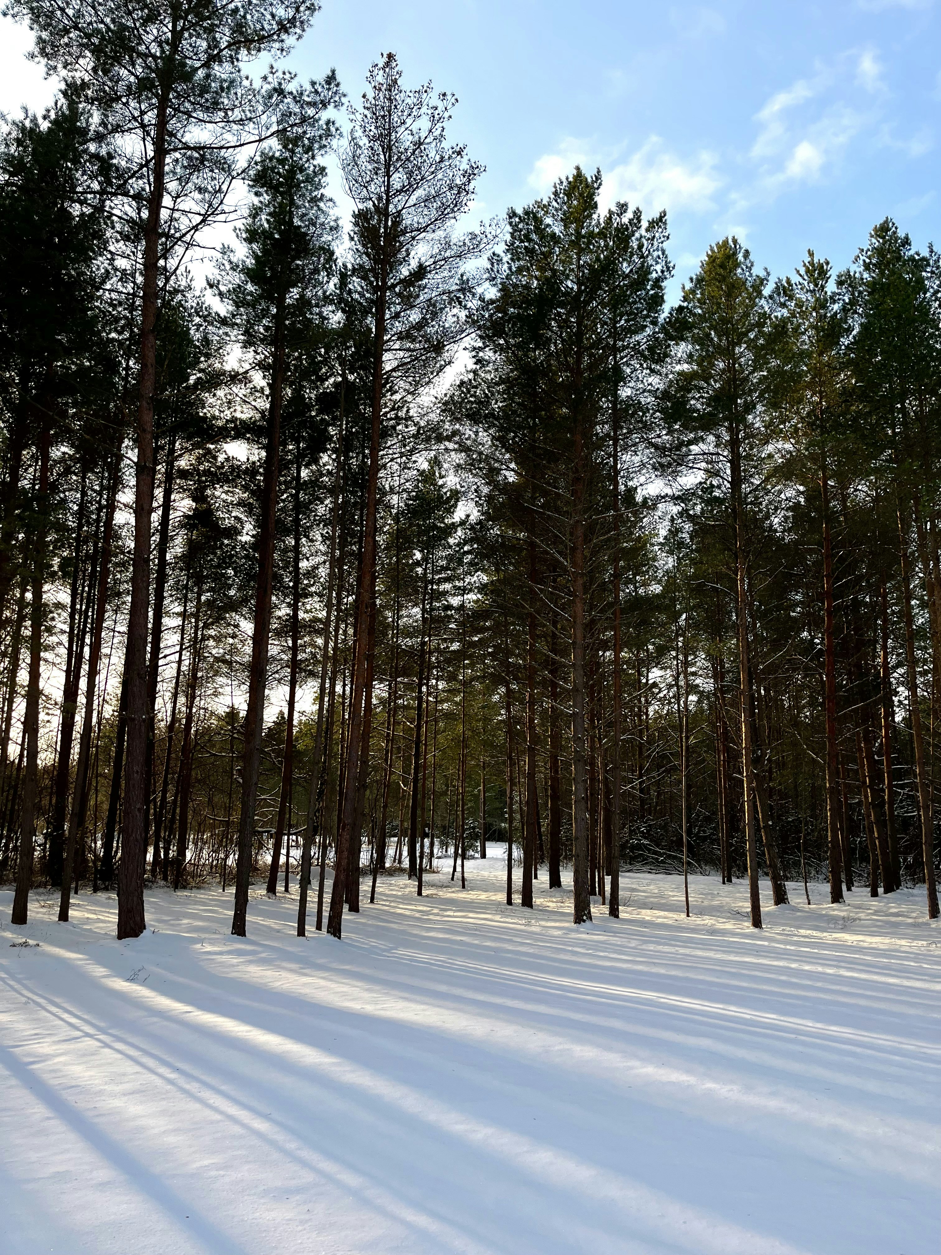 Photo by sercanselvi