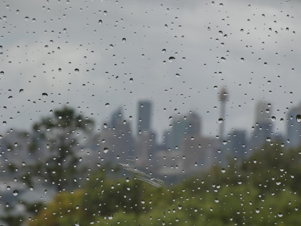rain drops on a window with a city in the background