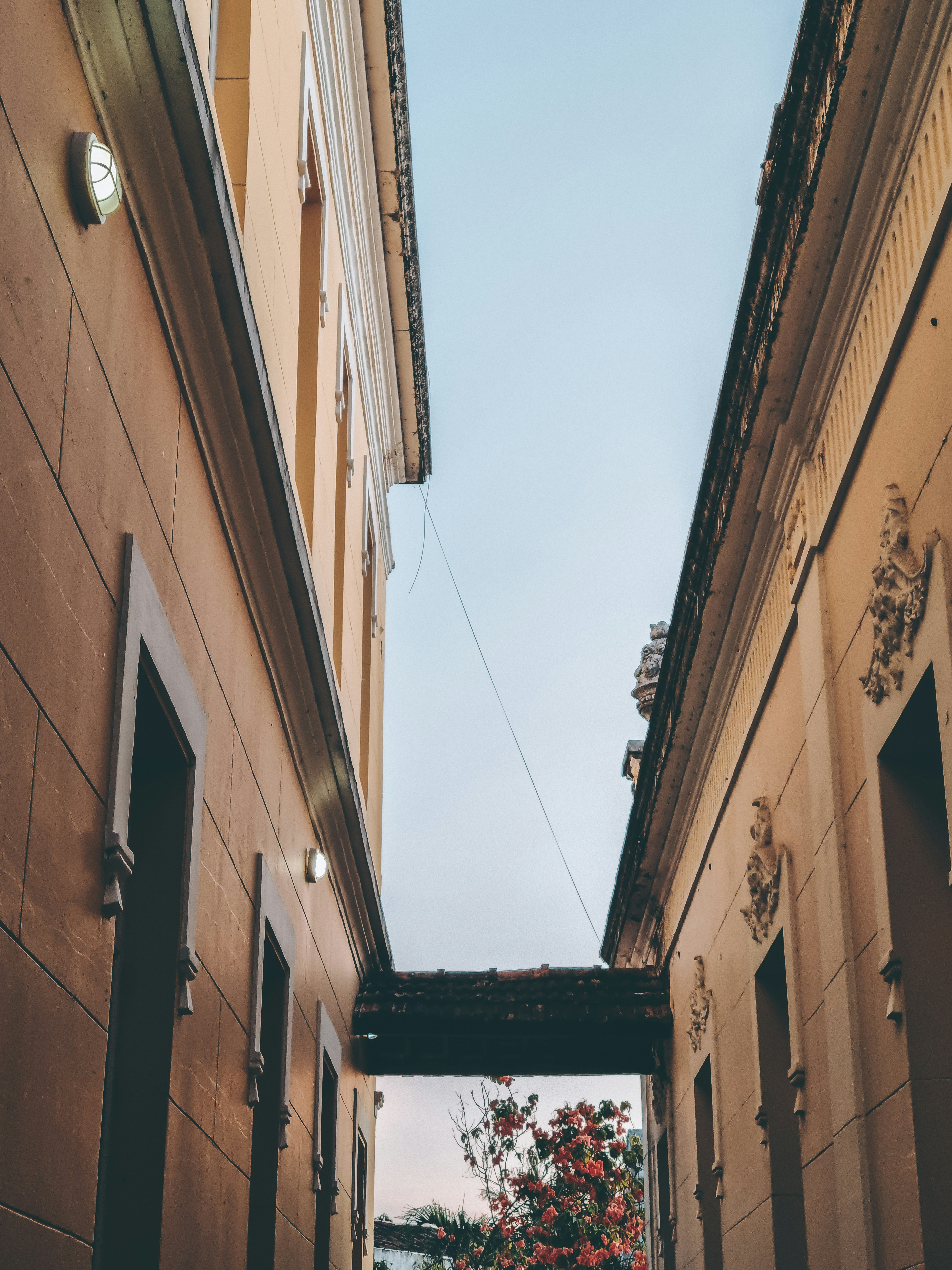 Photo by felipefersilva