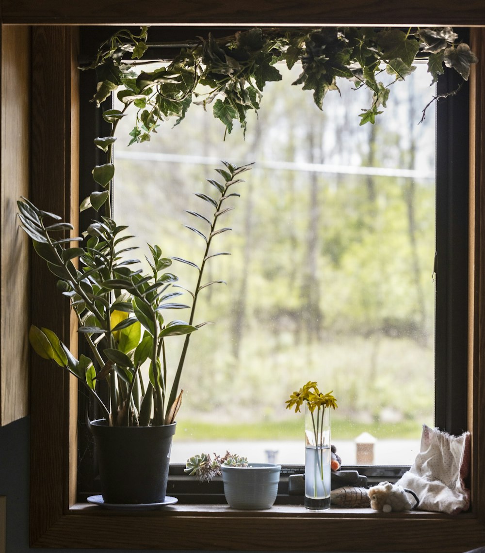 a window sill with a potted plant next to it