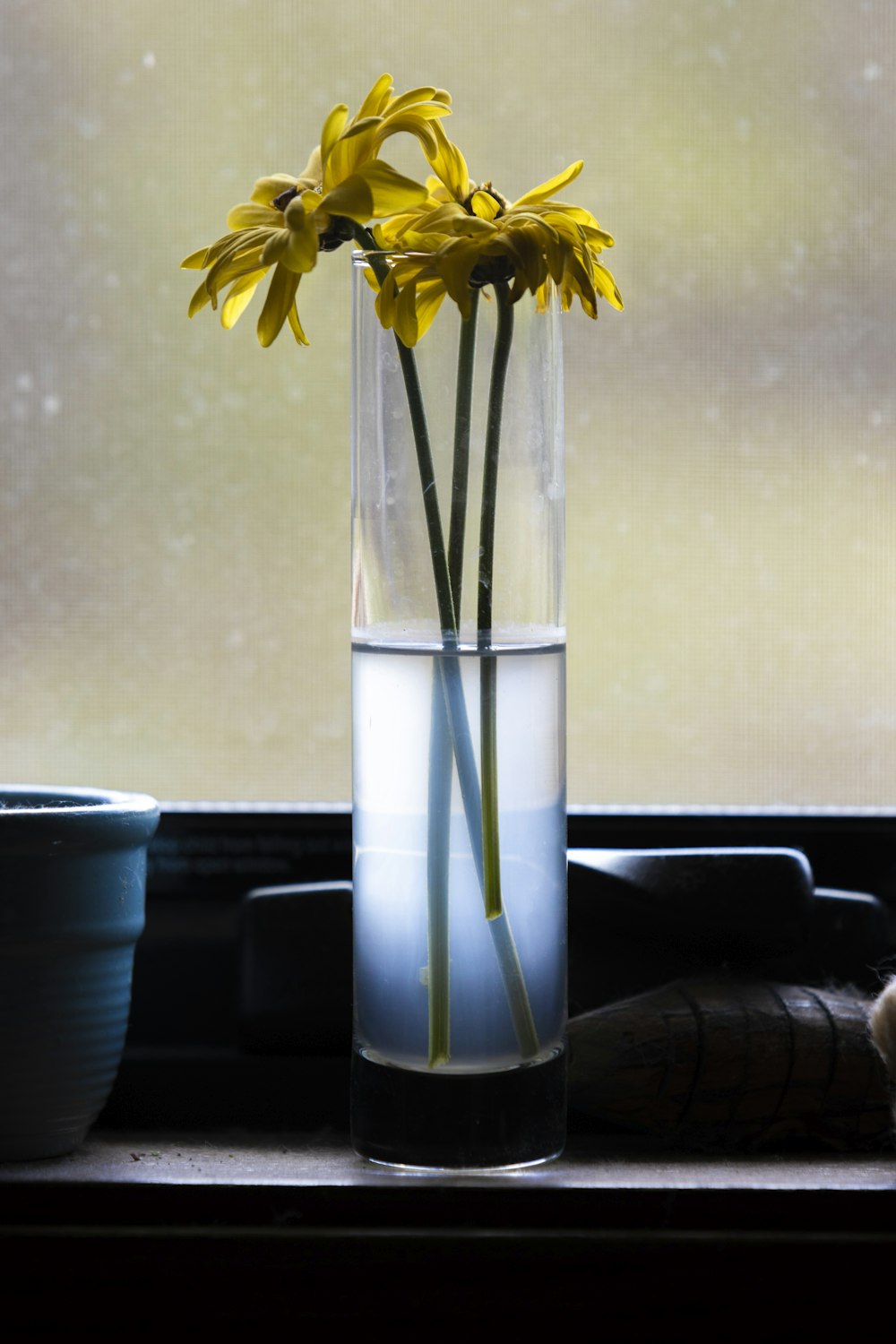 a vase filled with yellow flowers sitting on a window sill