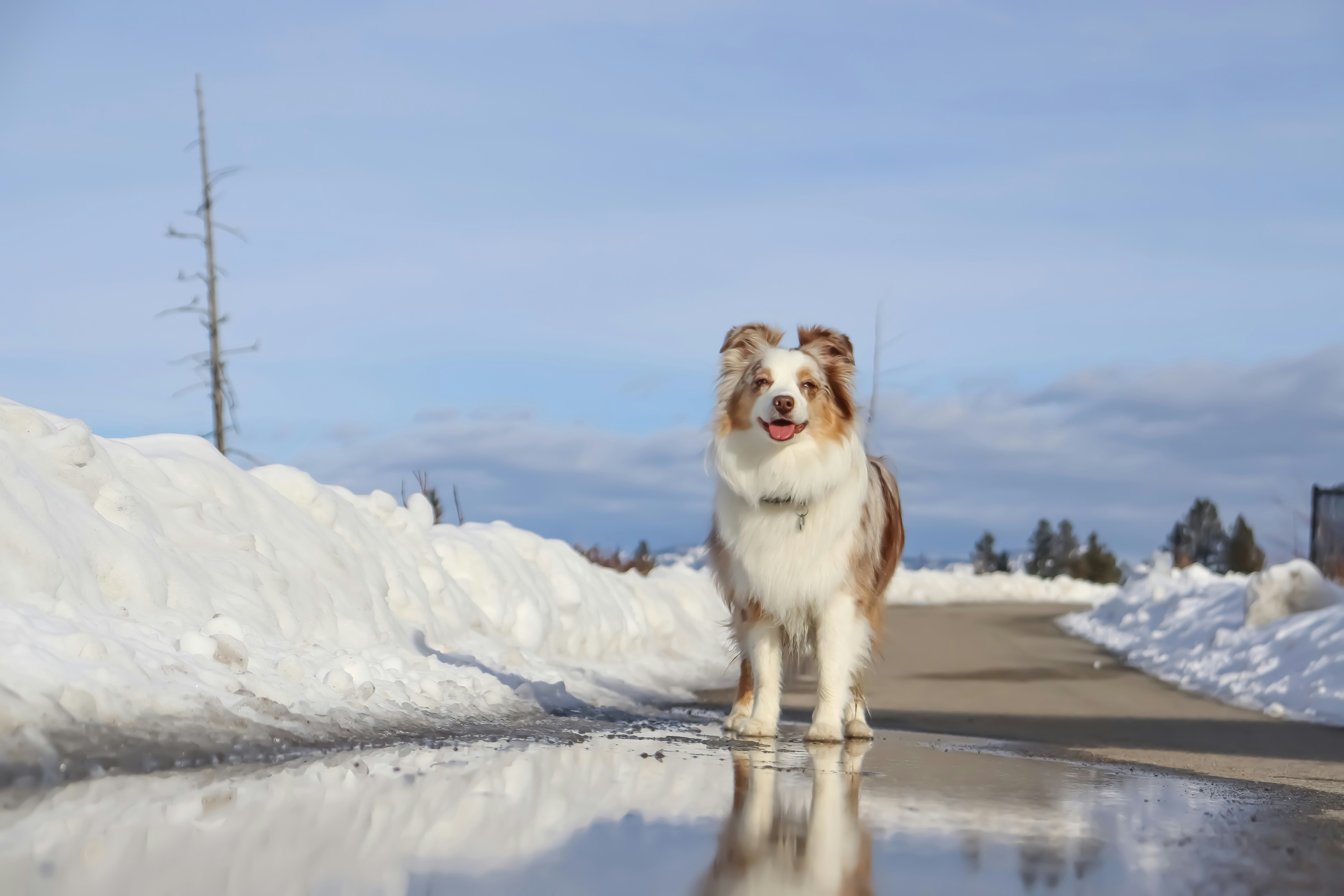 Photo by theredmerle