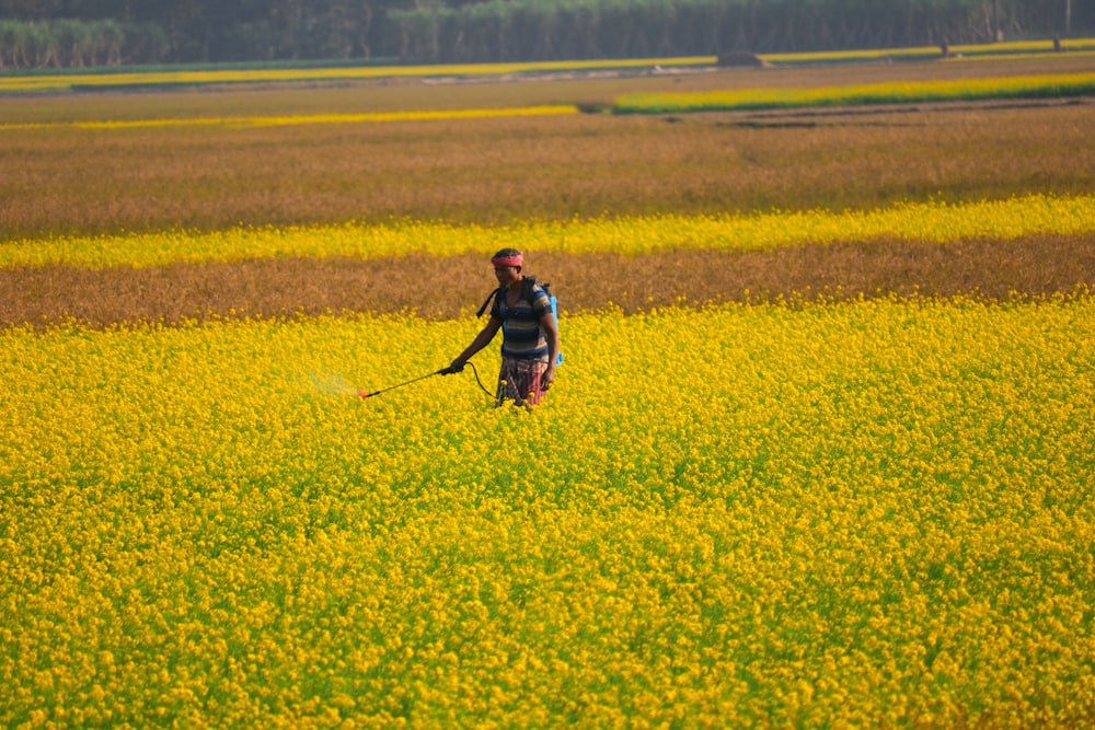 uma pessoa em um campo de flores amarelas