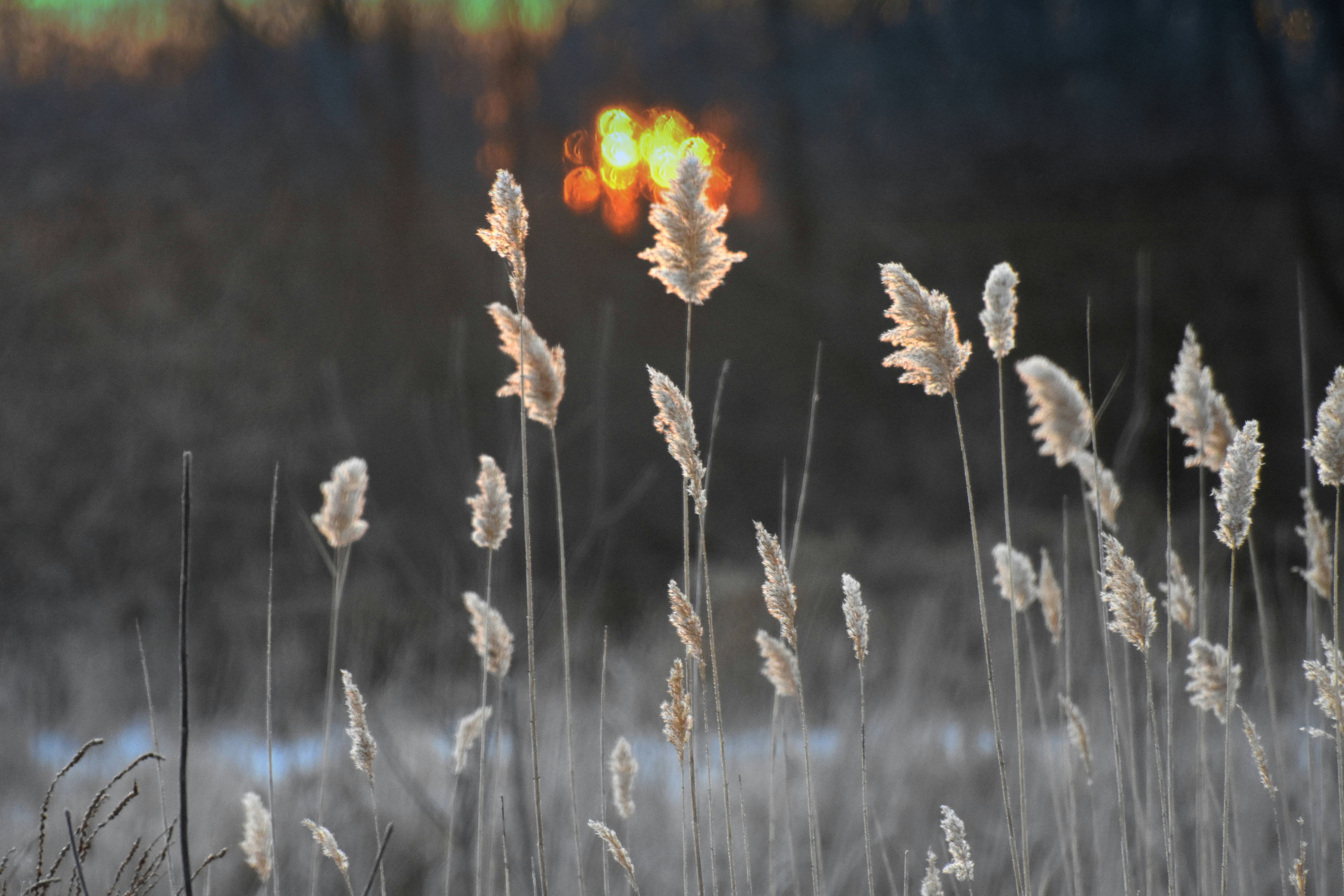 photo-1644102293174-076444e41d87?ixid=M3wxMjA3fDB8MXxzZWFyY2h8MTF8fGZvcnRuaXRlJTIwcmFyZSUyMHNraW5zJTIwcmV0dXJufGVufDB8fHx8MTc2NTgxMTE1N3ww\u0026ixlib=rb-4.1.0