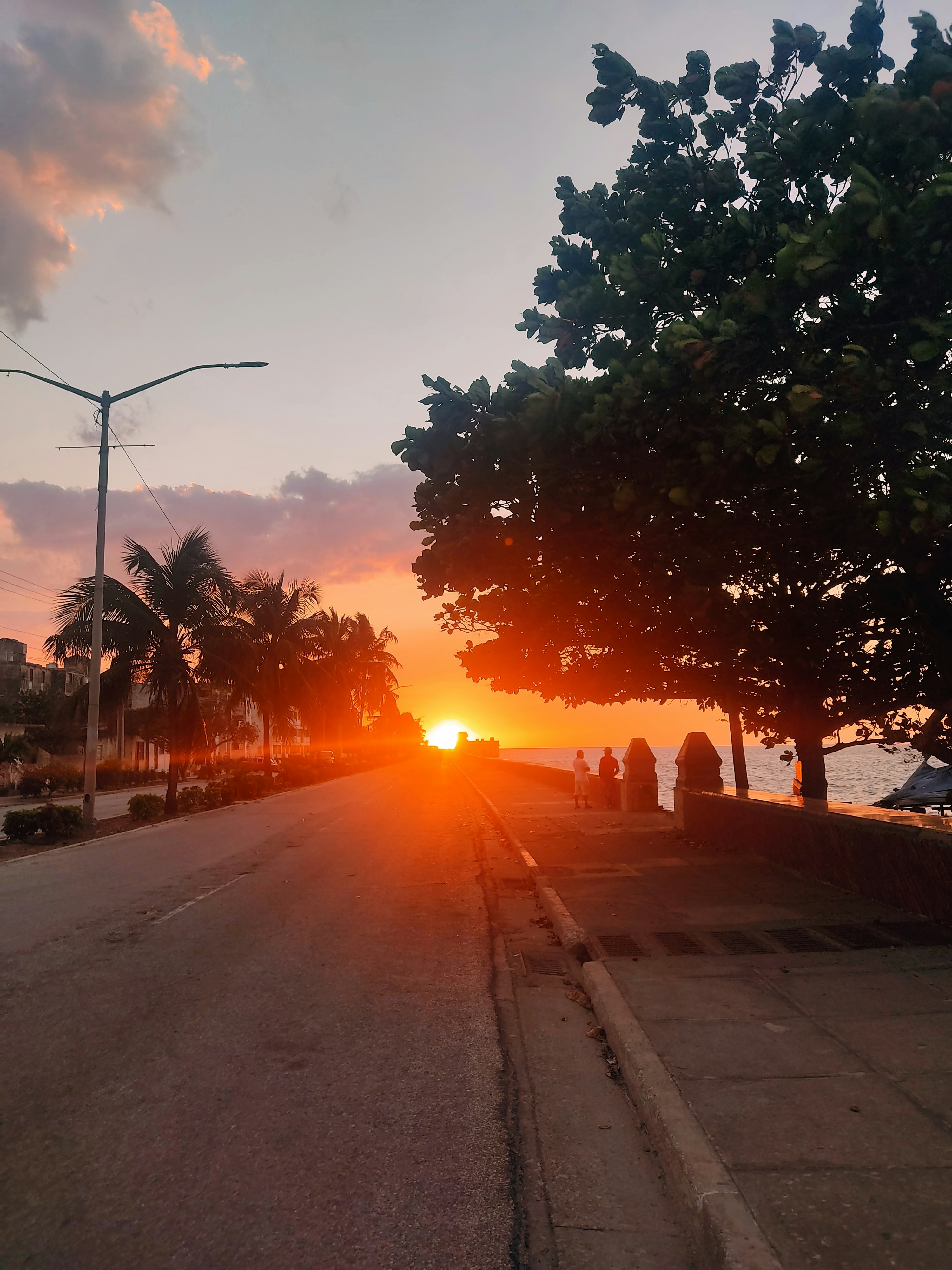 the sun is setting on a street with palm trees