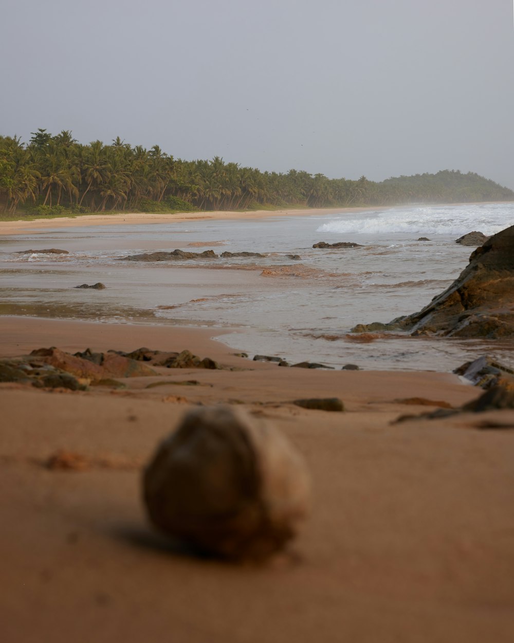 a shell on a beach with a body of water in the background