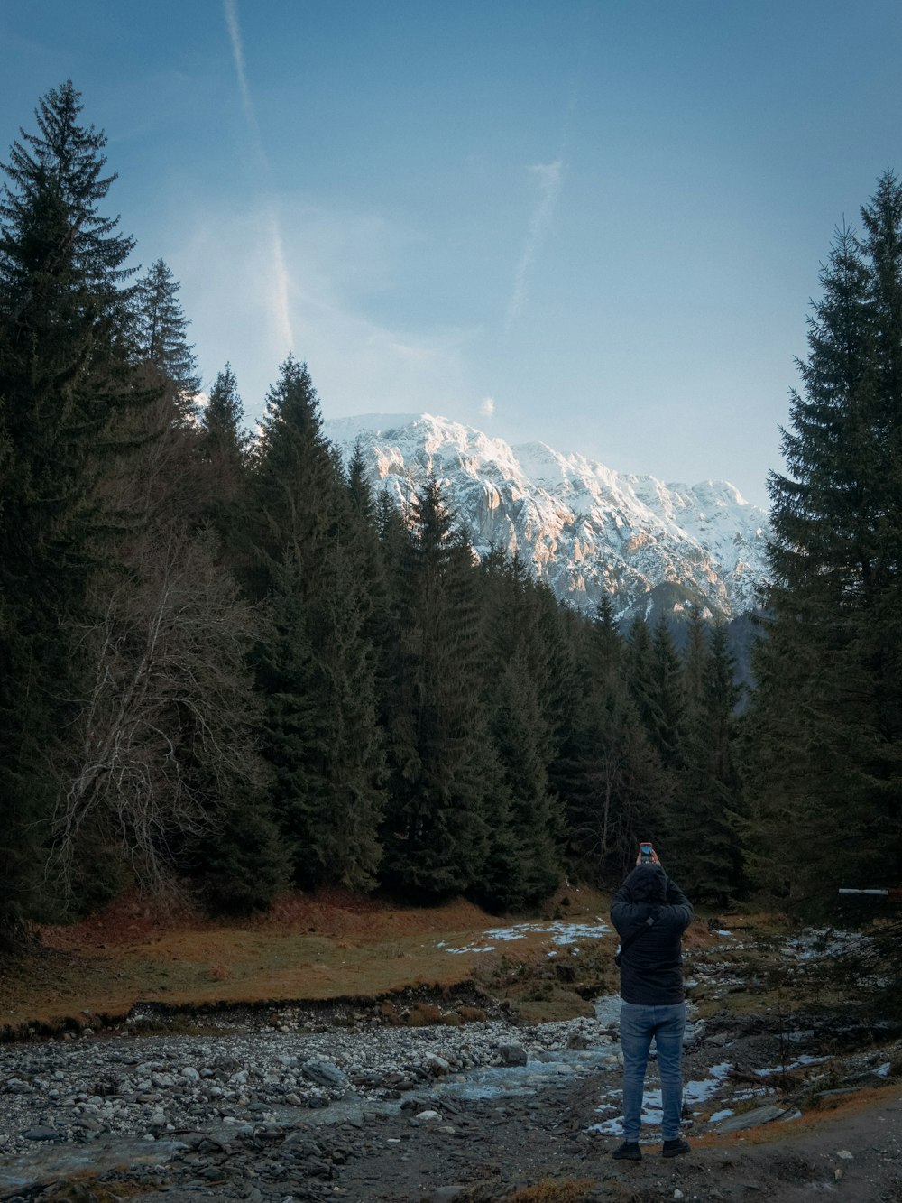 a man standing in the middle of a forest