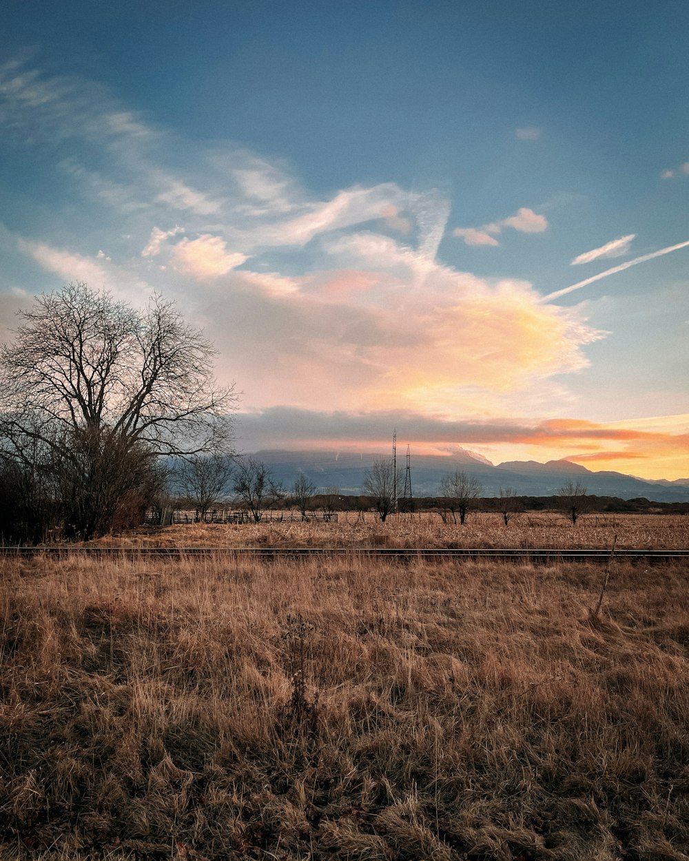 a field with a lone tree in the distance