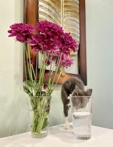 A small kitten is drinking from a tall glass of water on a white table. Next to the glass is another tall glass containing a bouquet of vibrant magenta flowers. The background features a wall with a large framed metallic leaf design, adding an elegant touch to the scene.