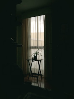 A quiet corner of a room with soft shadows and clean surfaces, reflecting subtle changes in air quality.