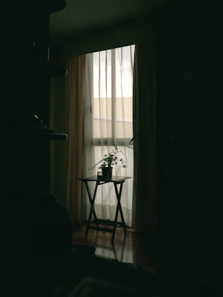 A quiet room with a comfortable chair and a gentle plant by the window.