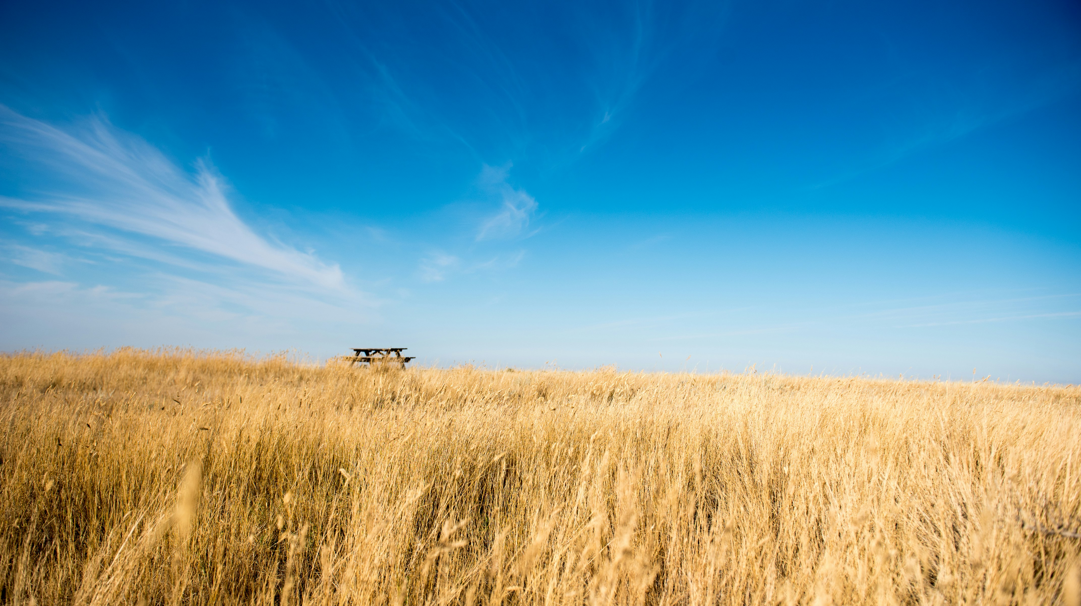 Photo by suzanne_ella