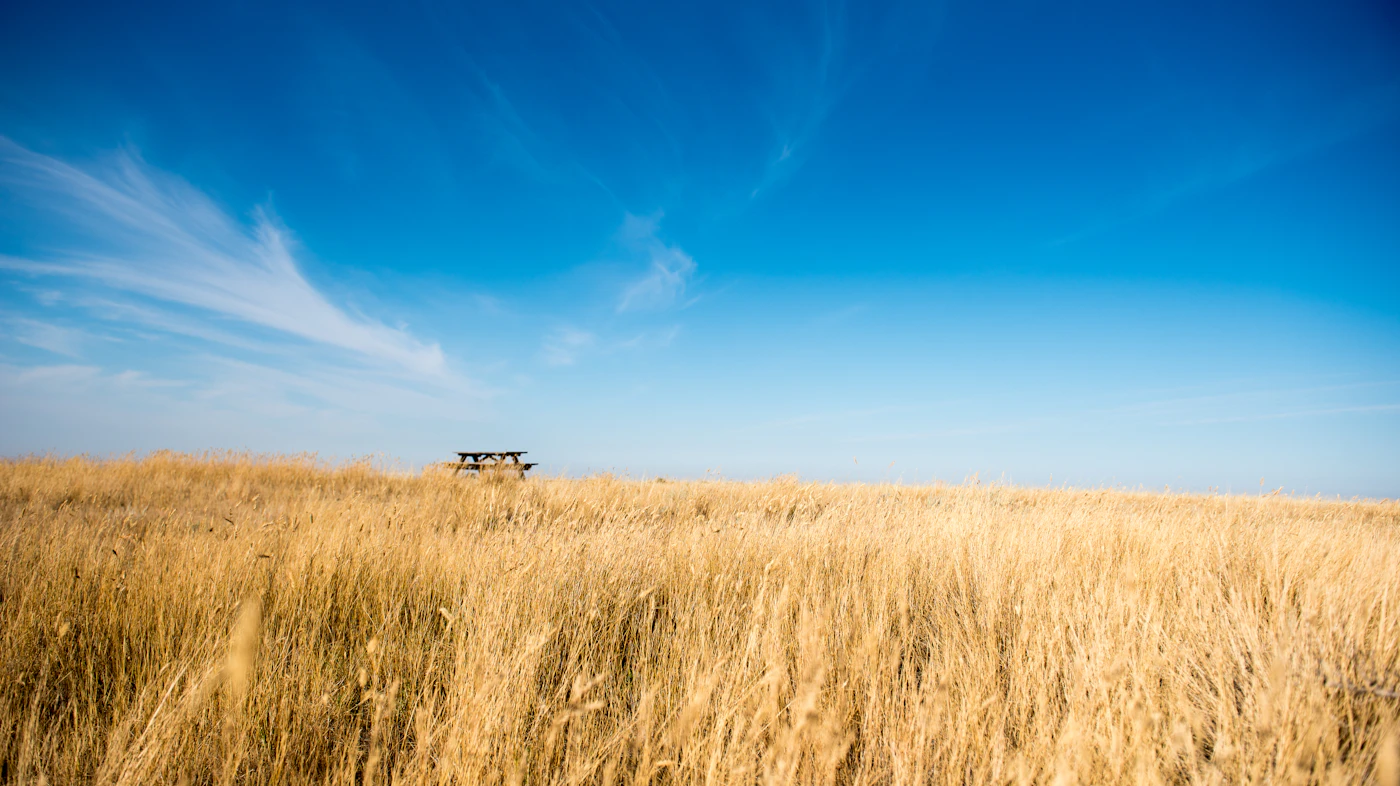 A lone wooden bench sitting in the middle of a wide open Manitoba prairie field under a soft sky