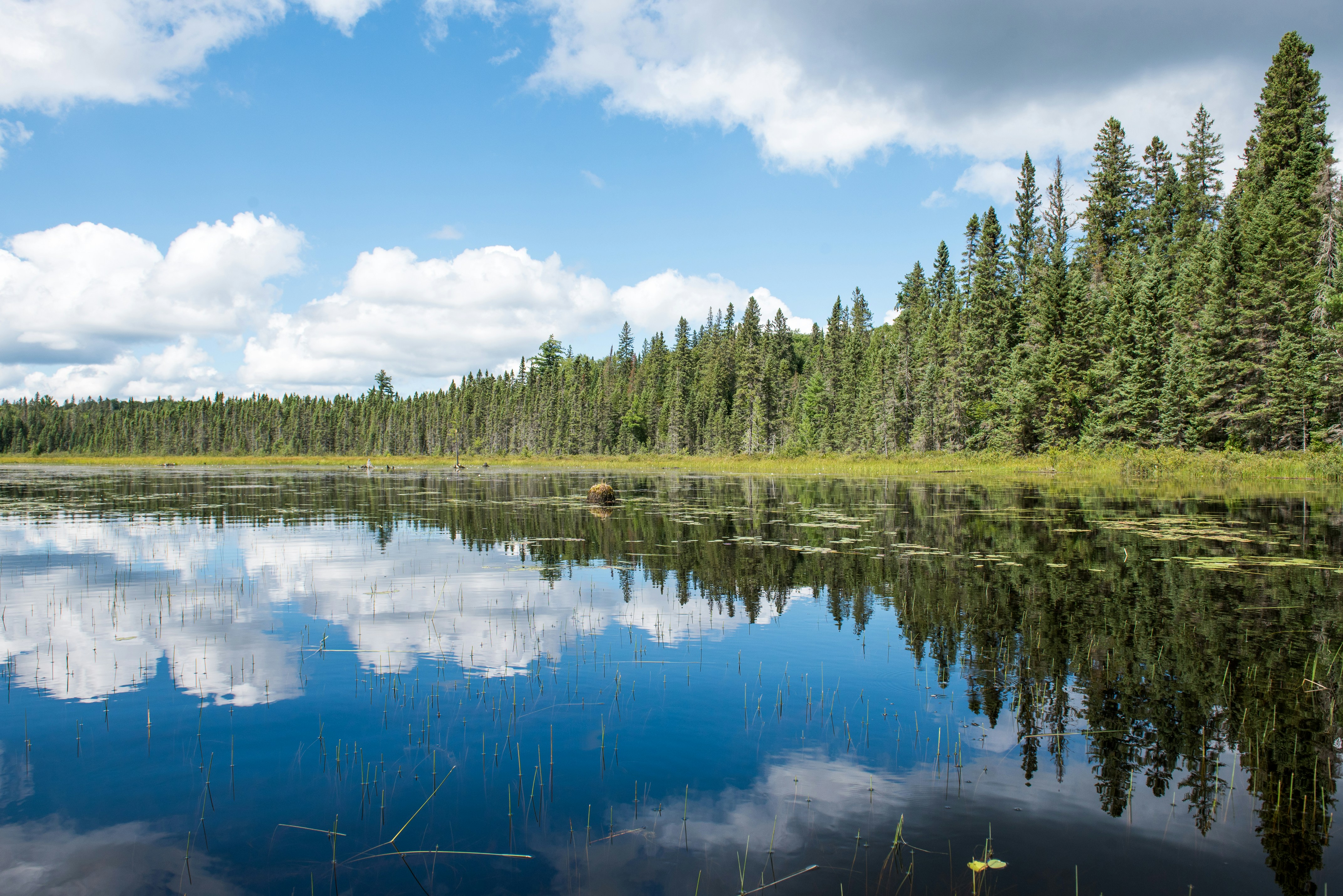 Photo by suzanne_ella