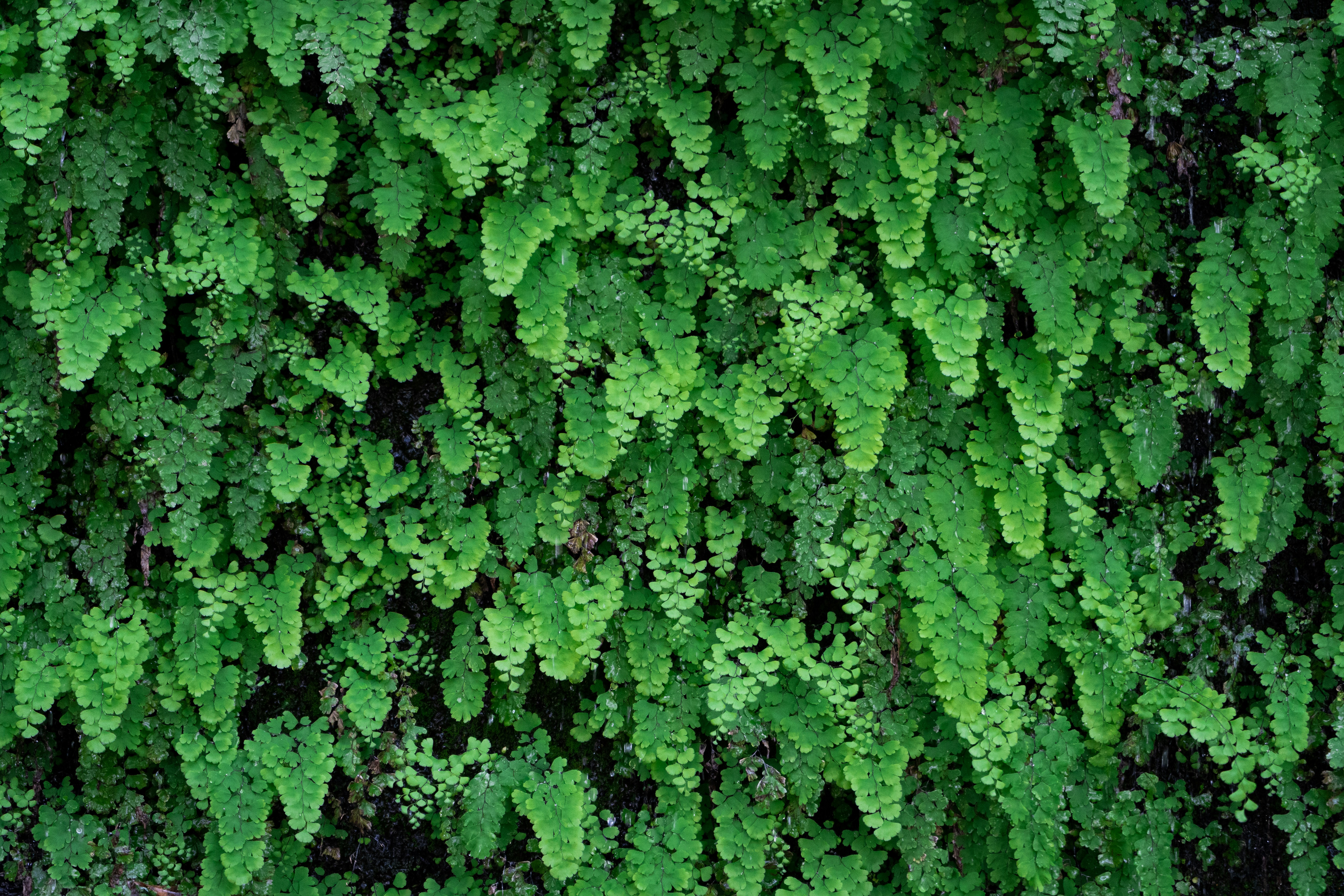 Photo by harrisonchang