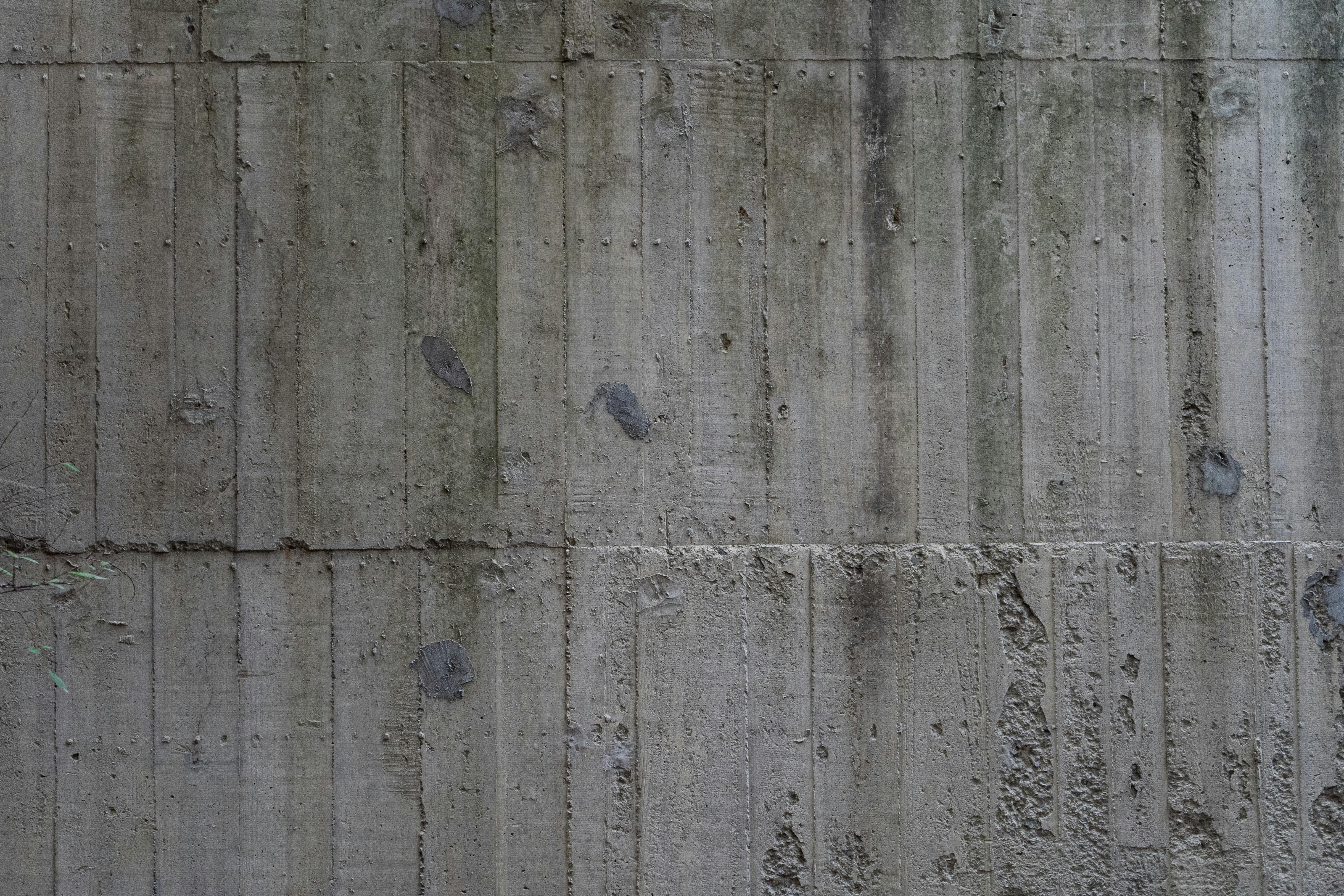 Photo by harrisonchang