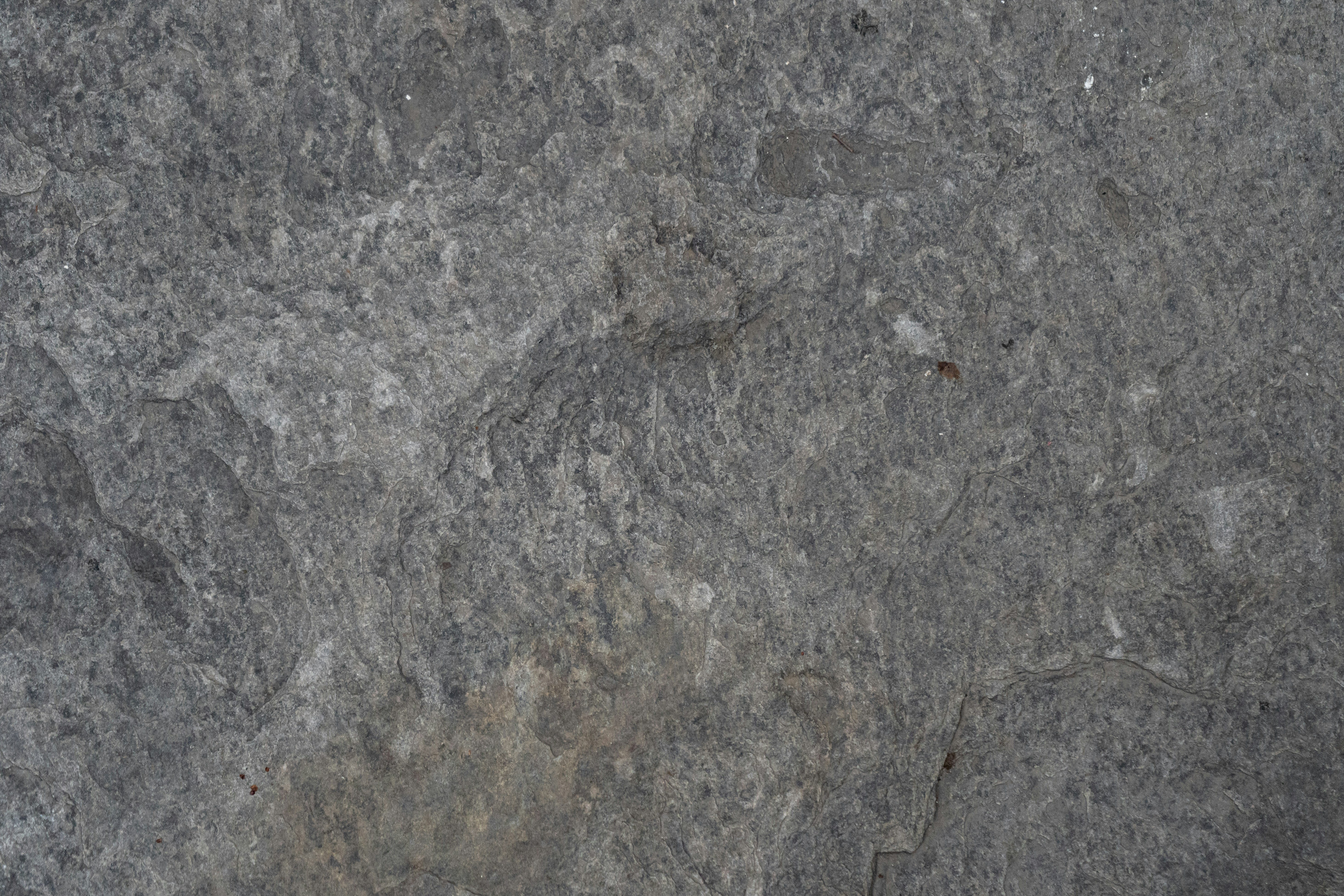 Photo by harrisonchang